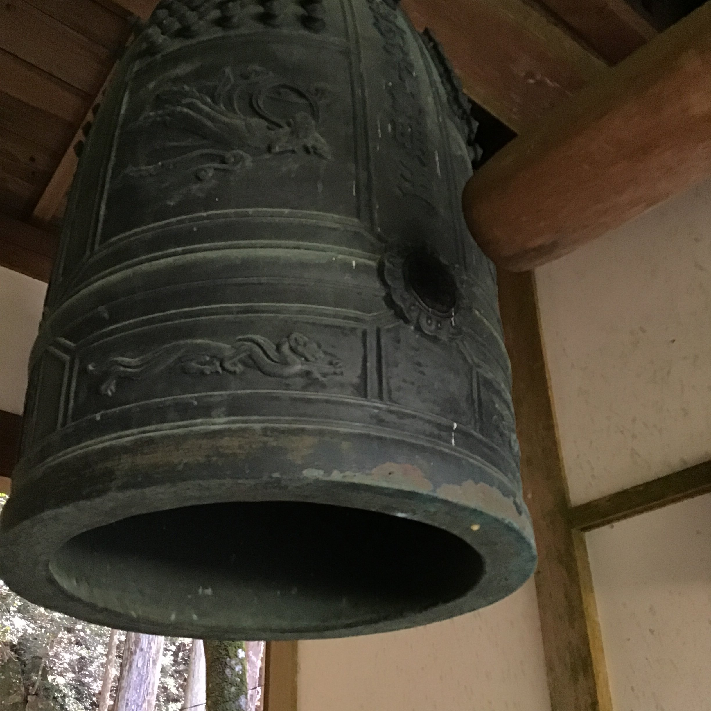 IMG_4158_shishikui.JPG