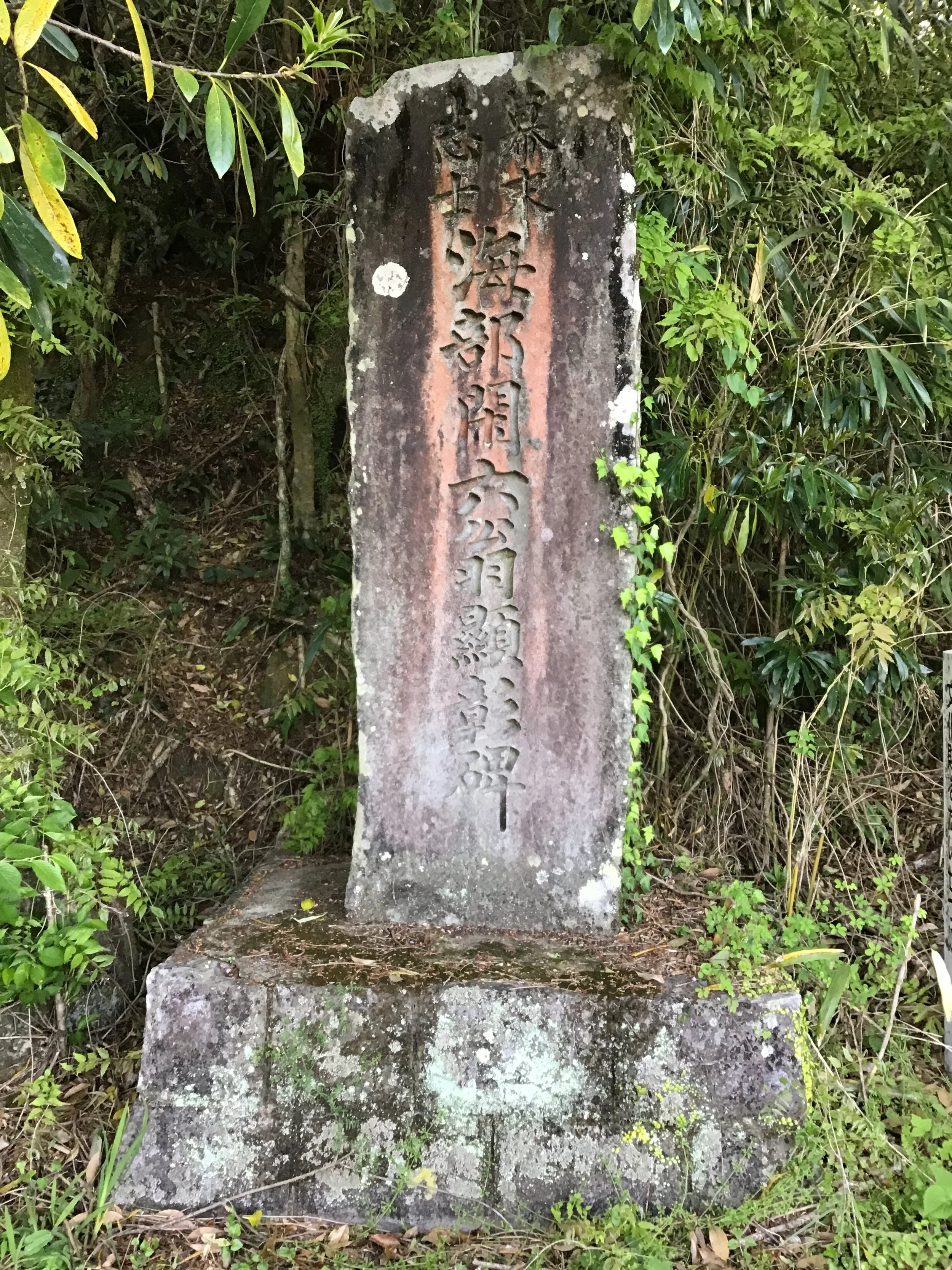 IMG_4182_shishikui.JPG