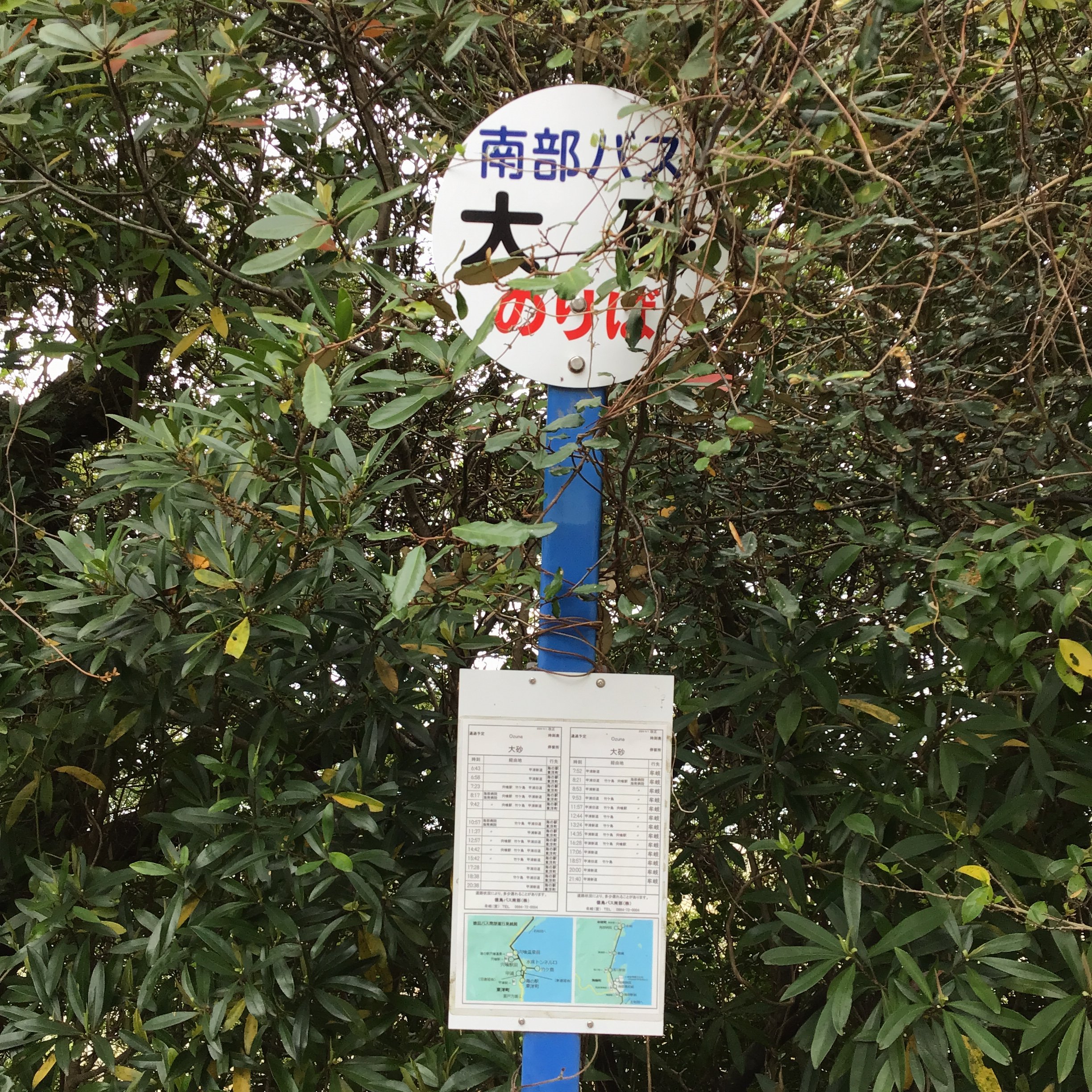 IMG_4188_shishikui.JPG