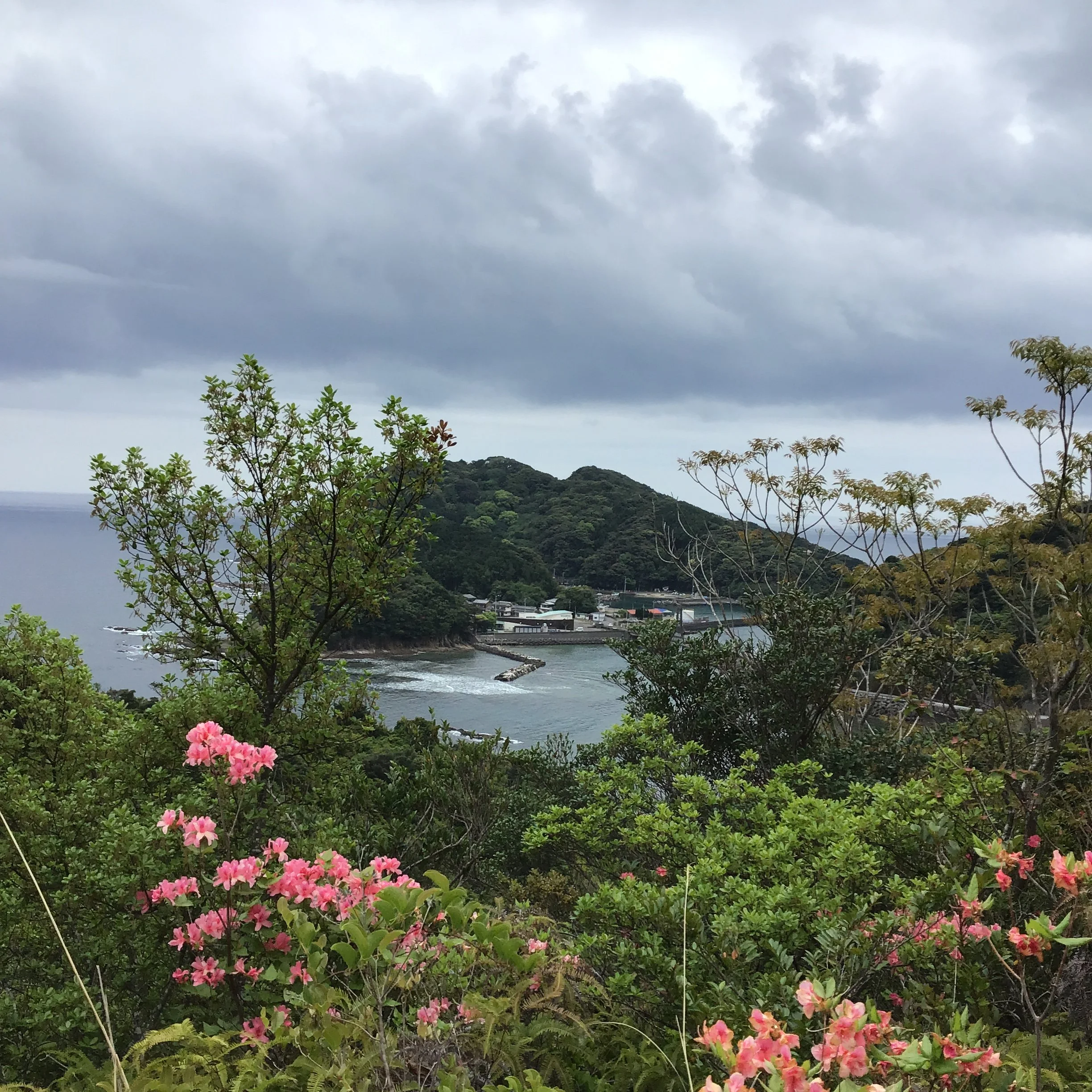 IMG_4215_shishikui.JPG