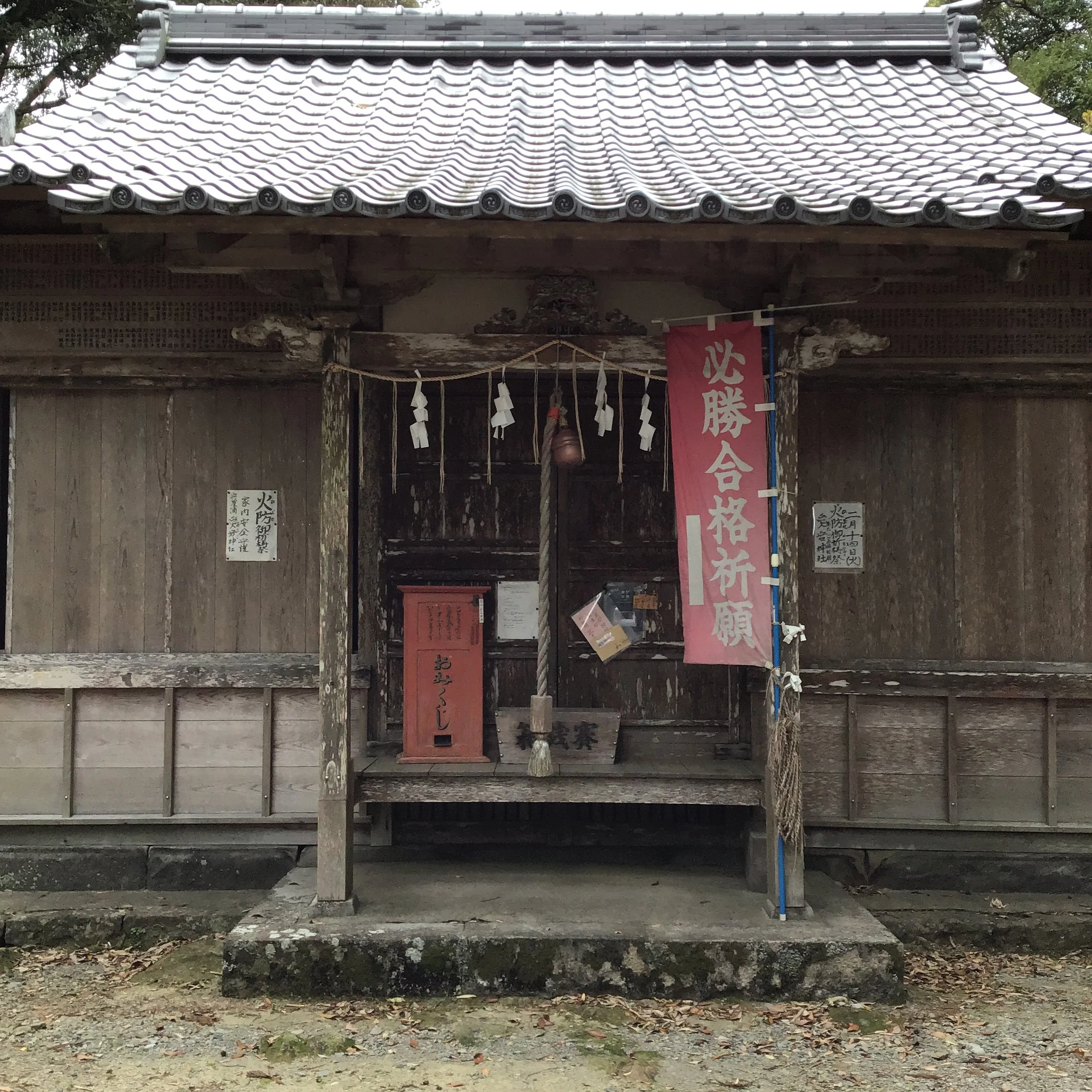 IMG_4233_shishikui.JPG
