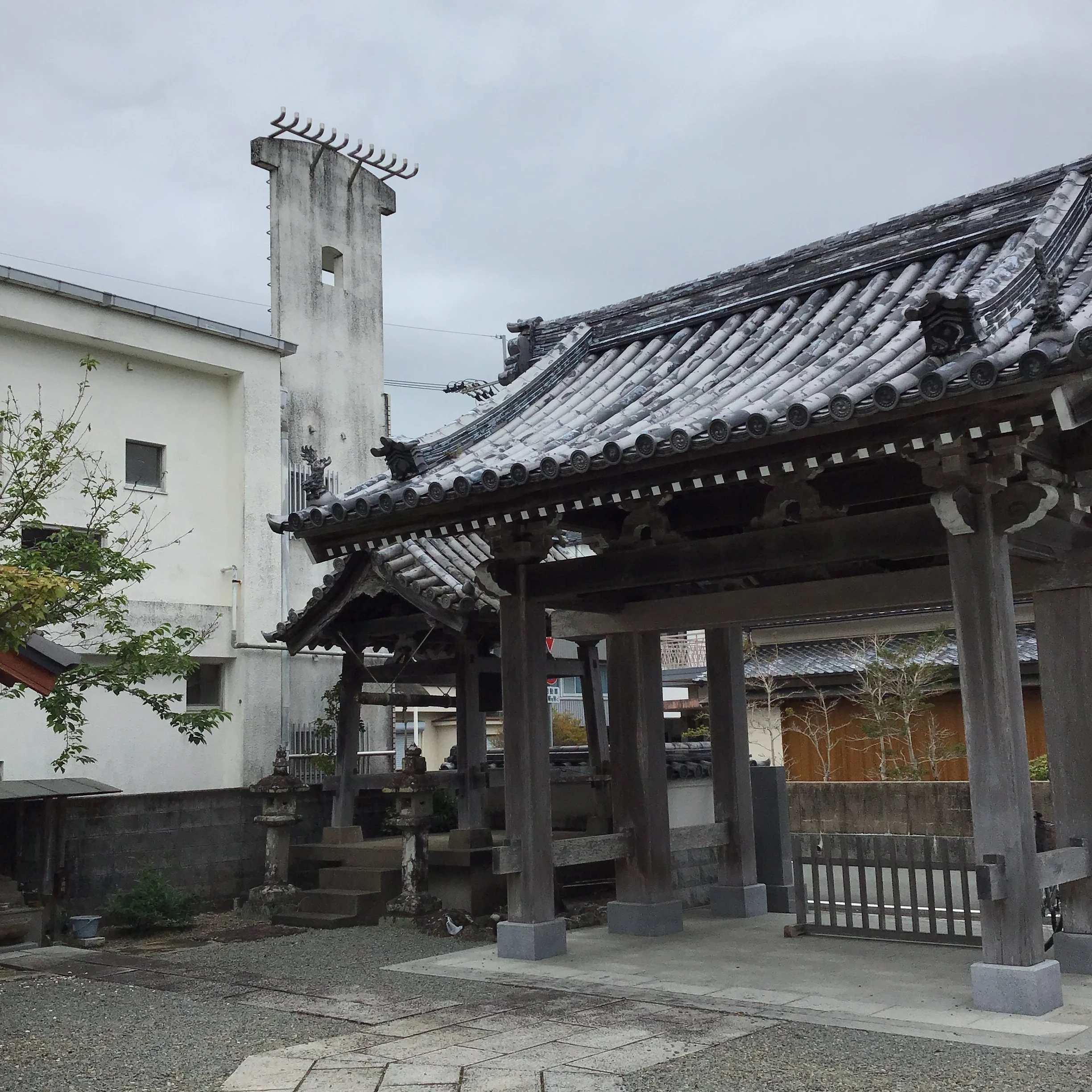 IMG_4250_shishikui.JPG