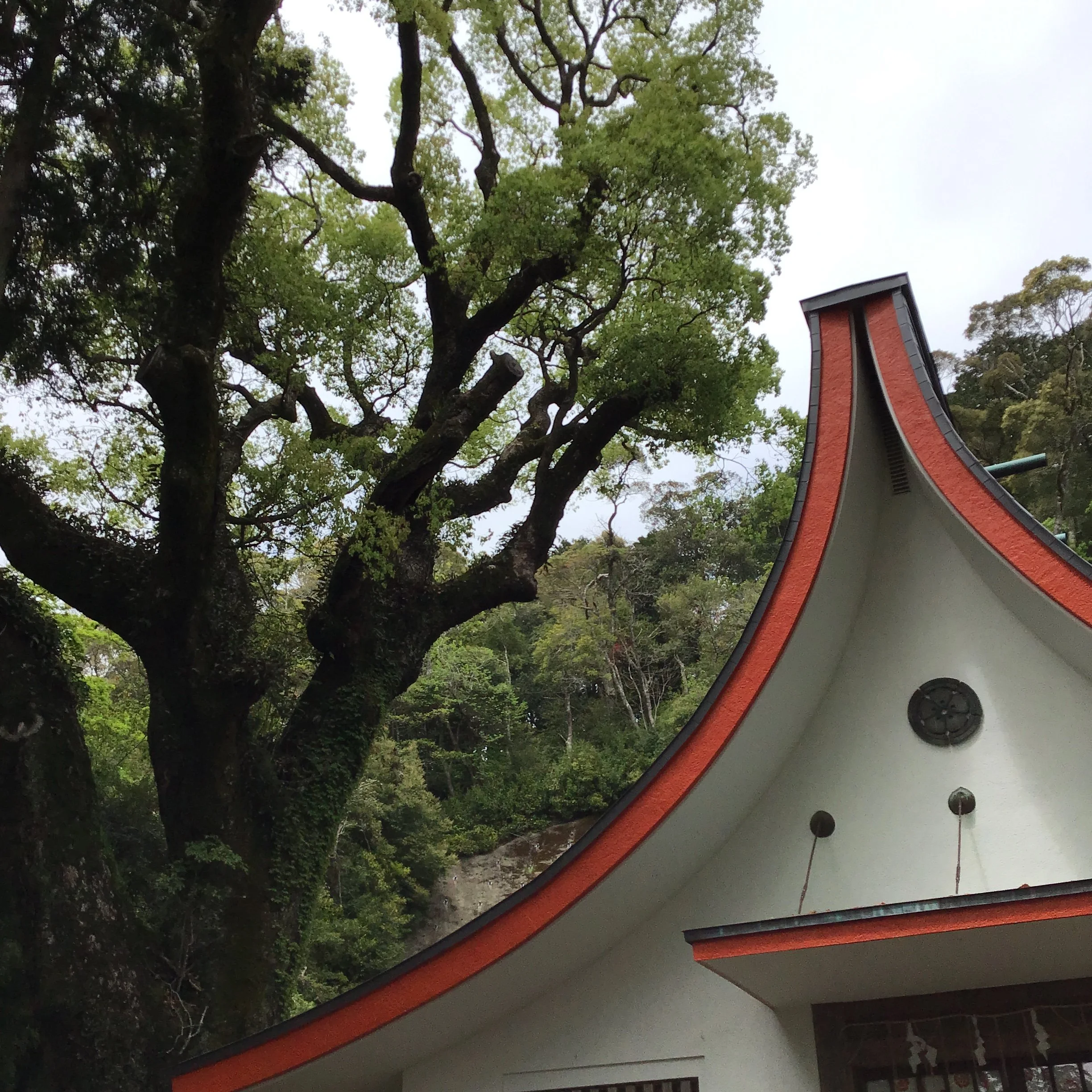 4月24日「Shishikui - Day 3」