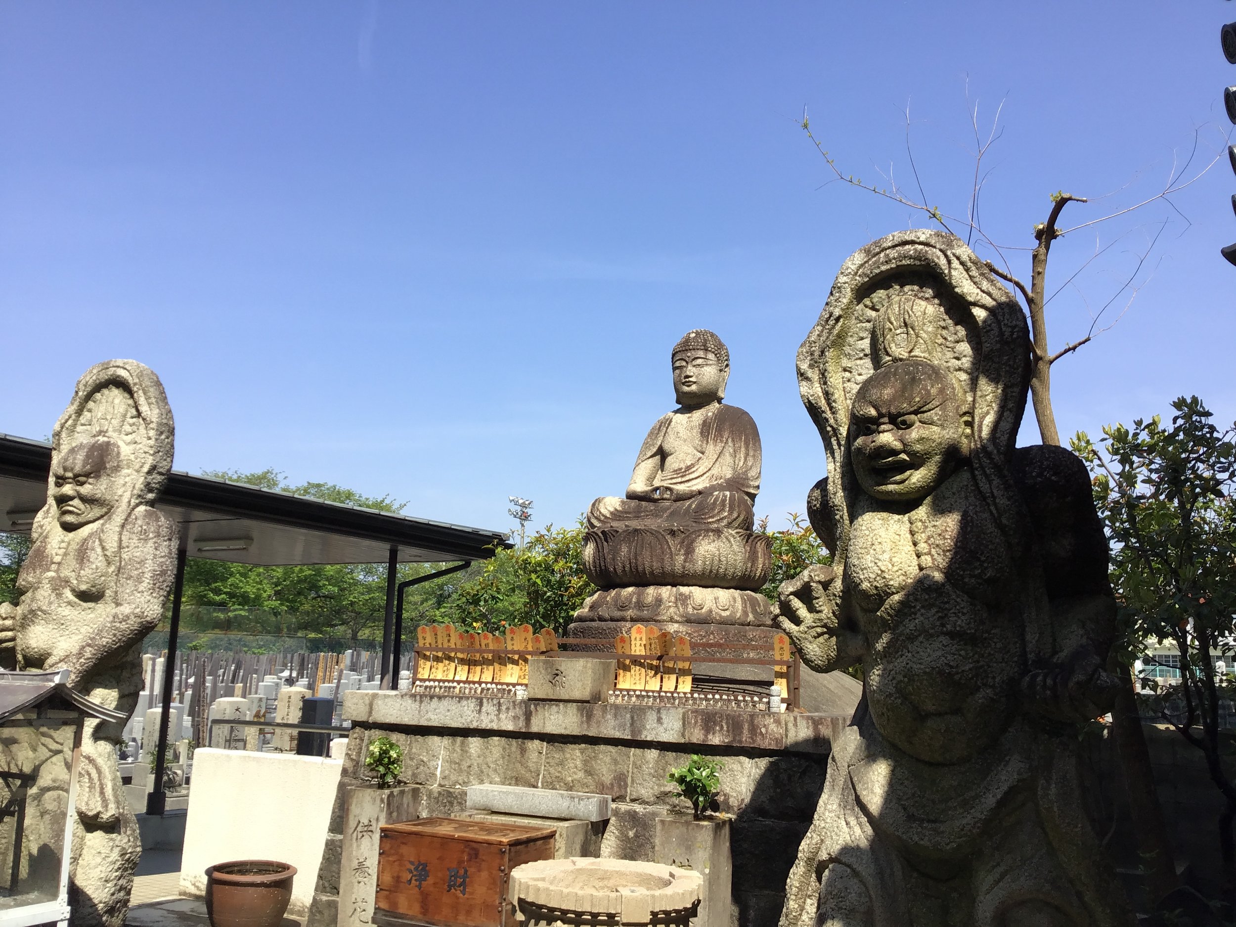 IMG_4434_kyoto_garden.JPG