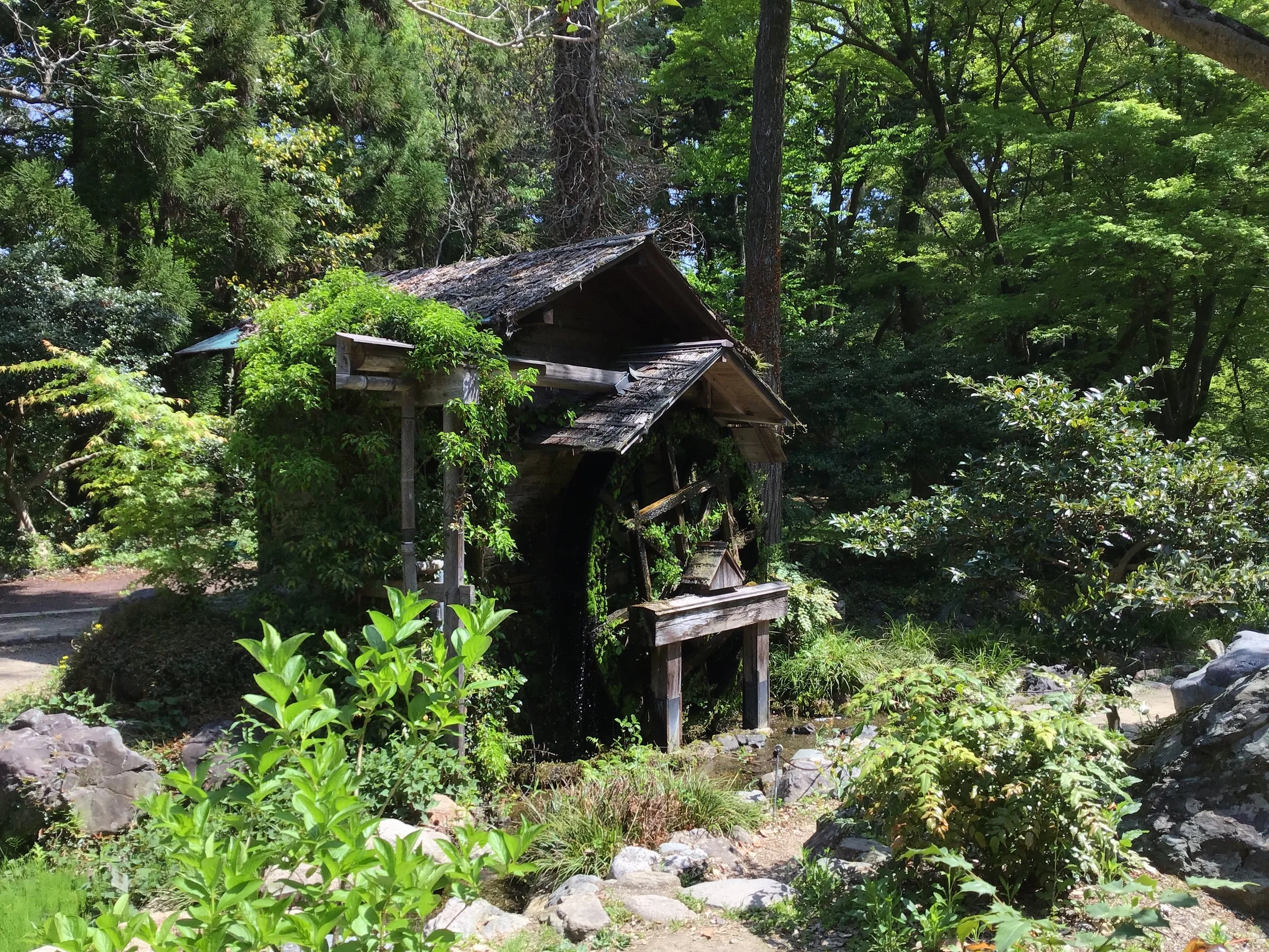 IMG_4469_kyoto_garden.JPG