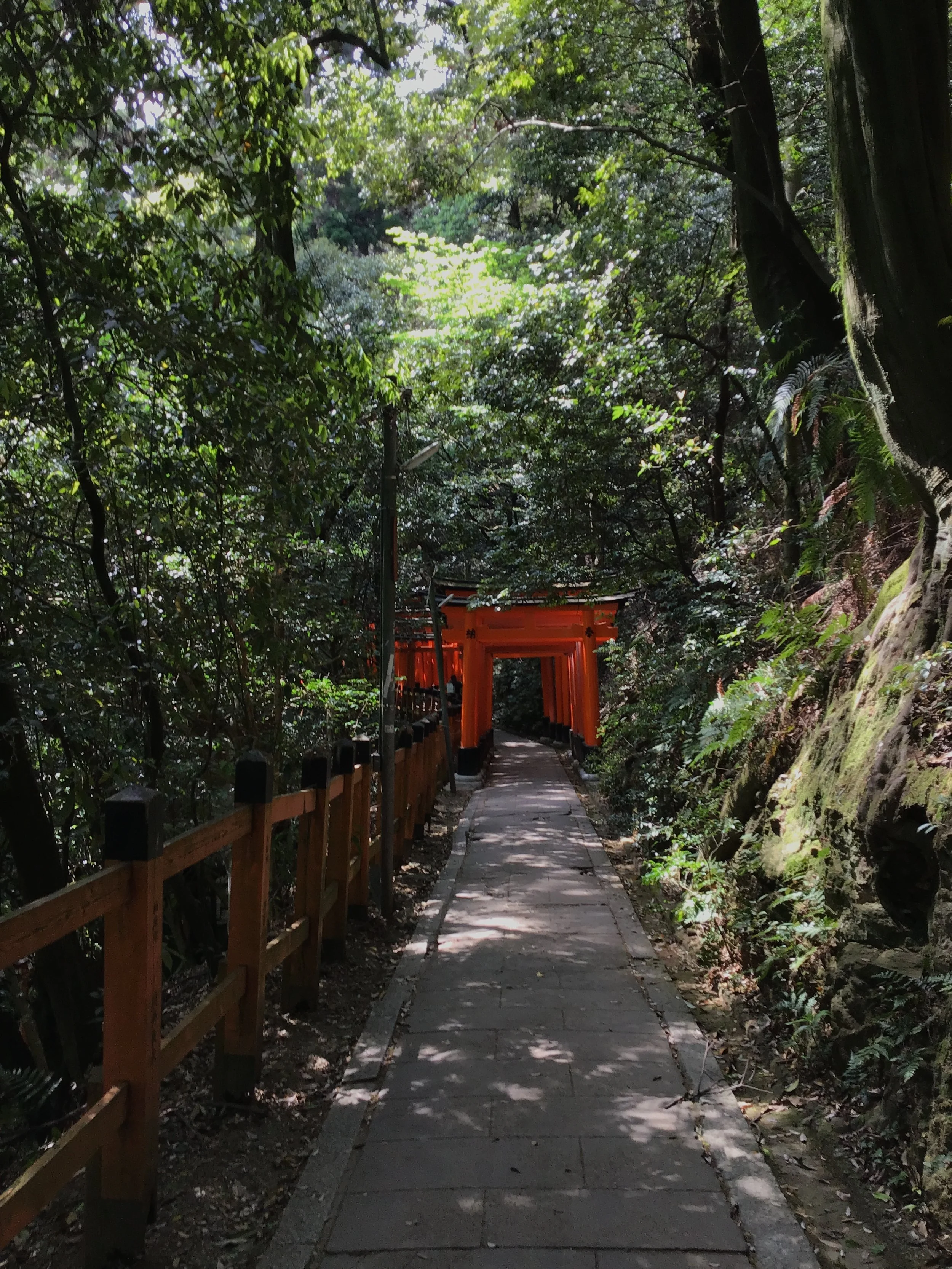 5月1日「Fushimi Inari Taisha w Friends」