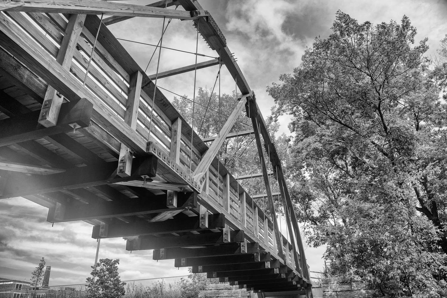 Bridge Over the Trail