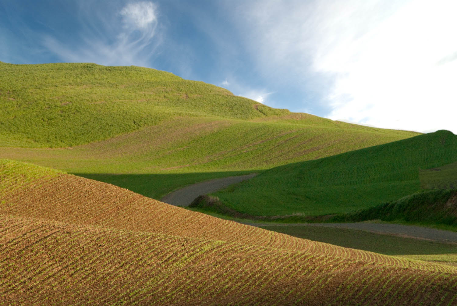 Undulating Hills