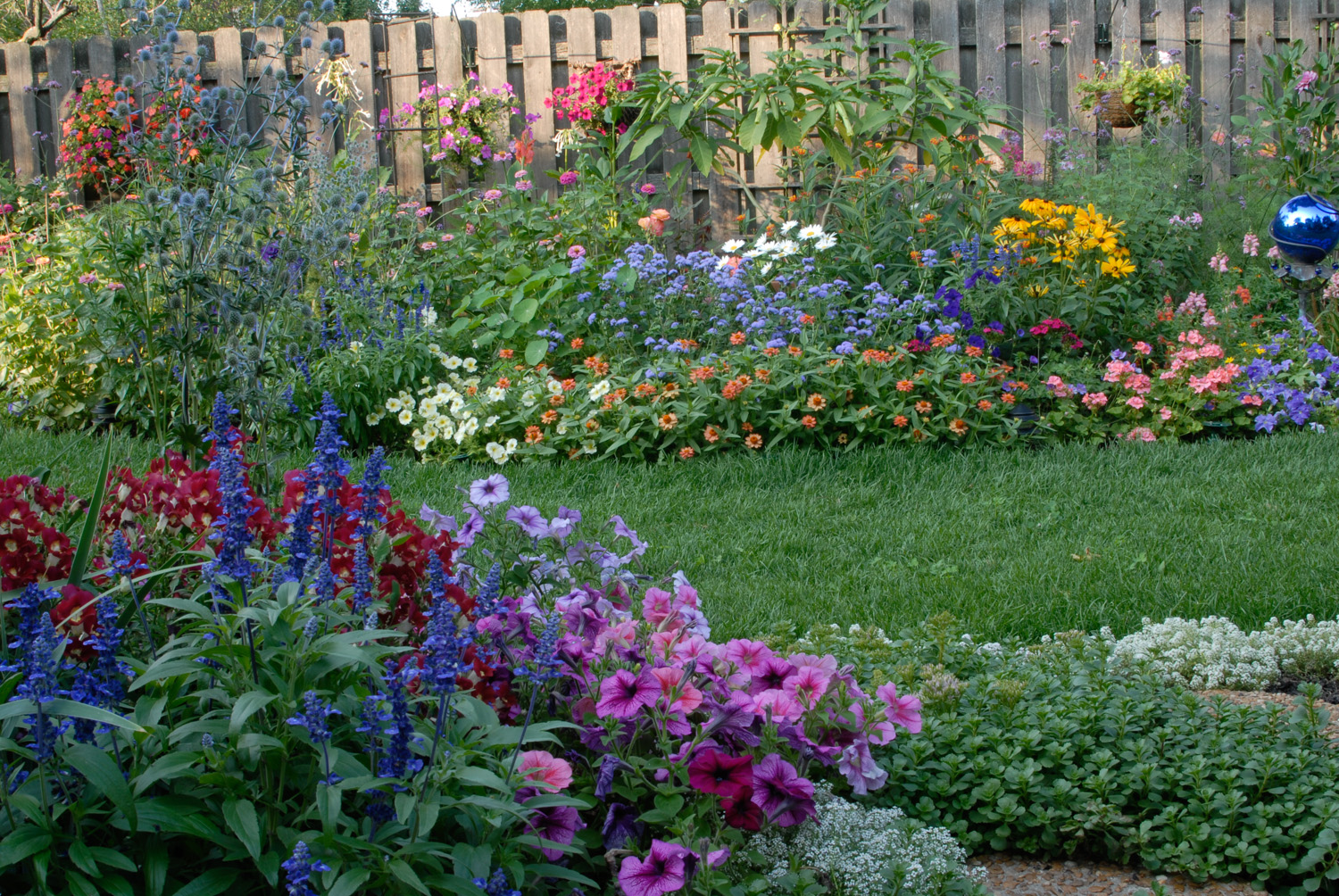 Backyard Garden