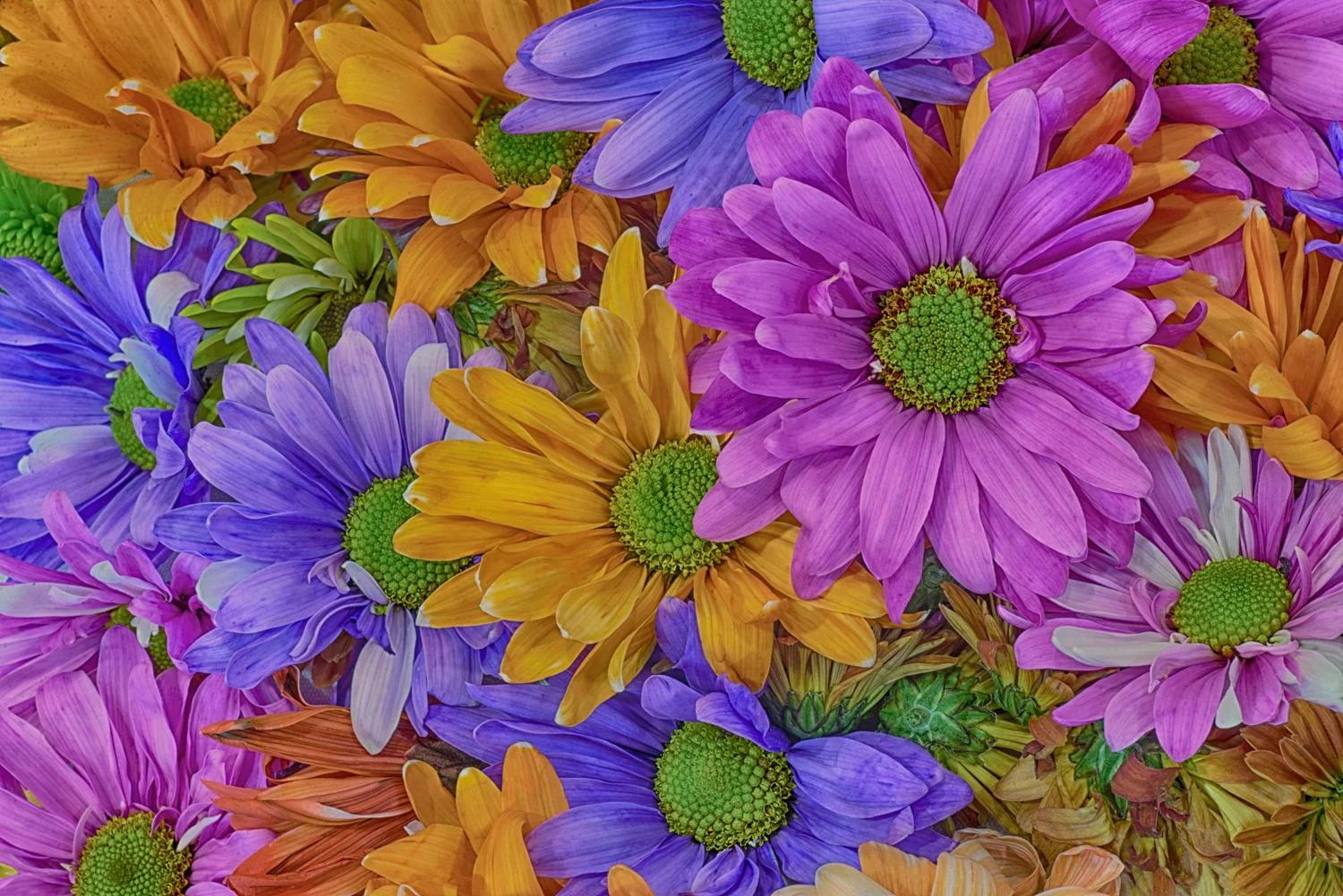 What Colors