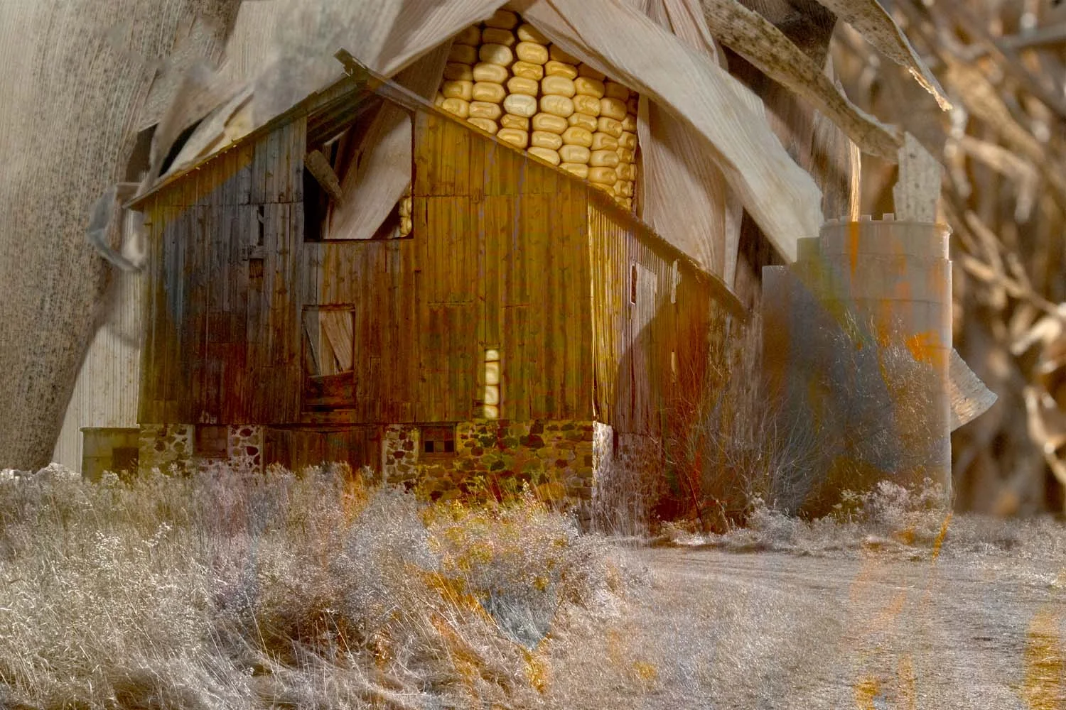 Corn in the Barn