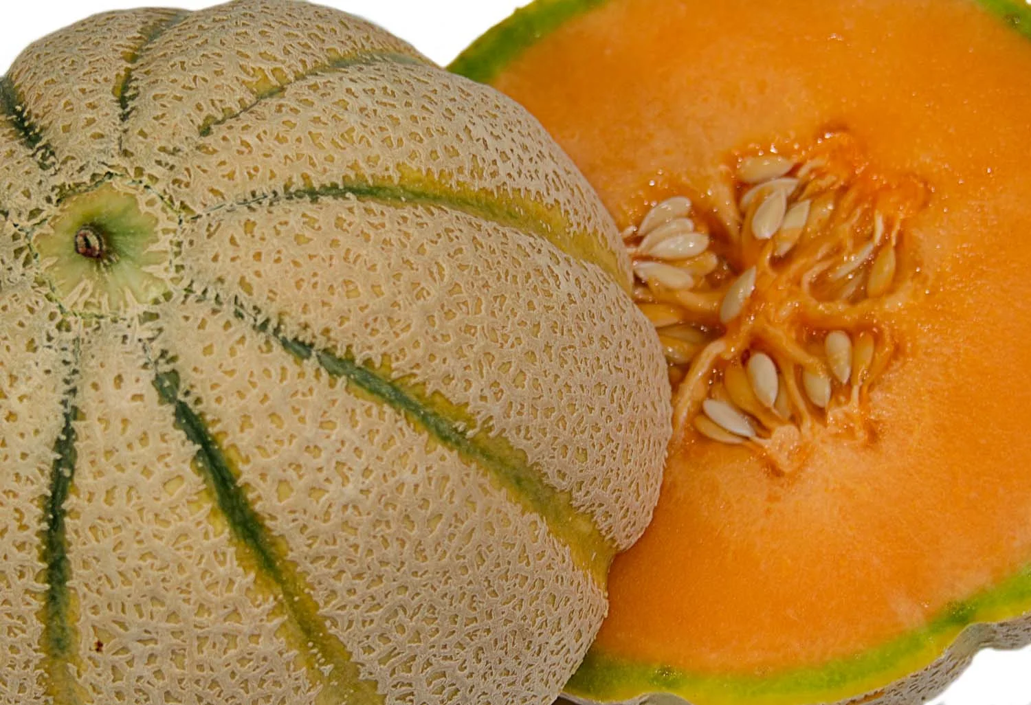 Juicy Canteloupe