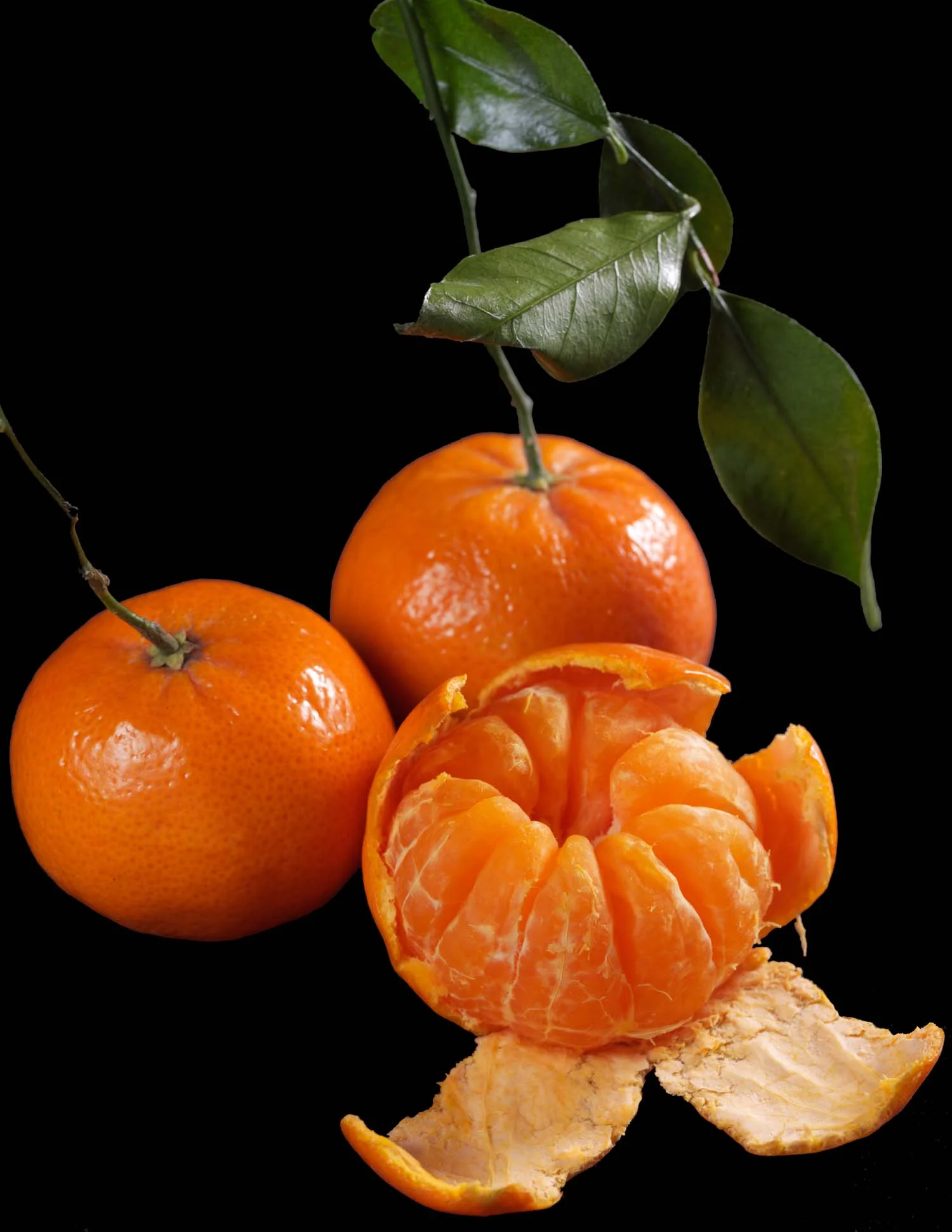 Mandarin Oranges
