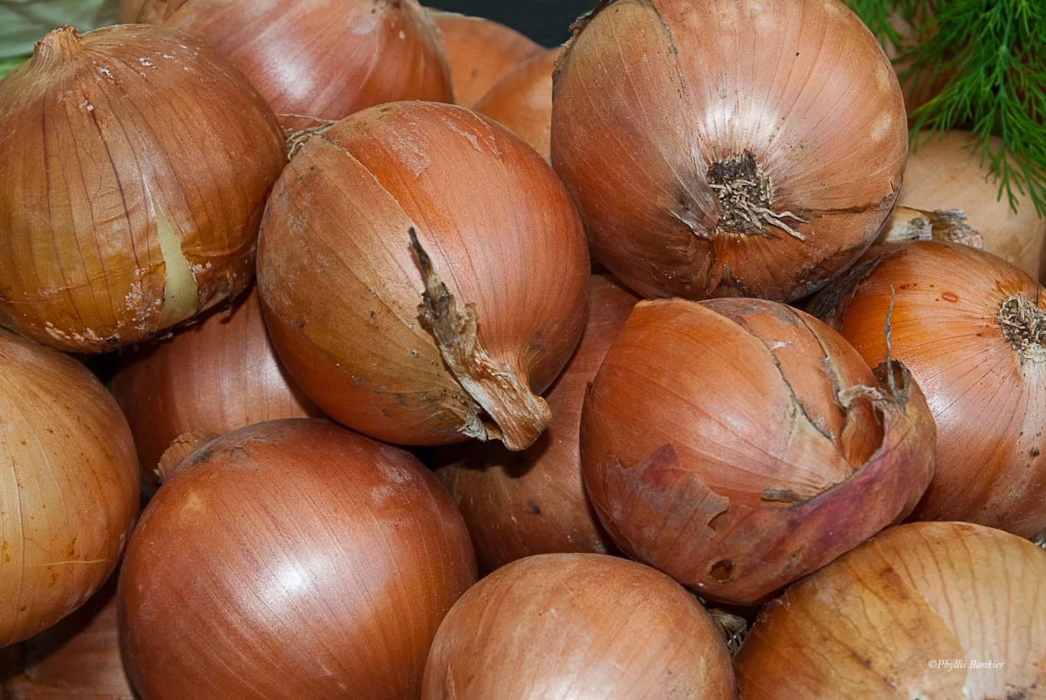 Onions