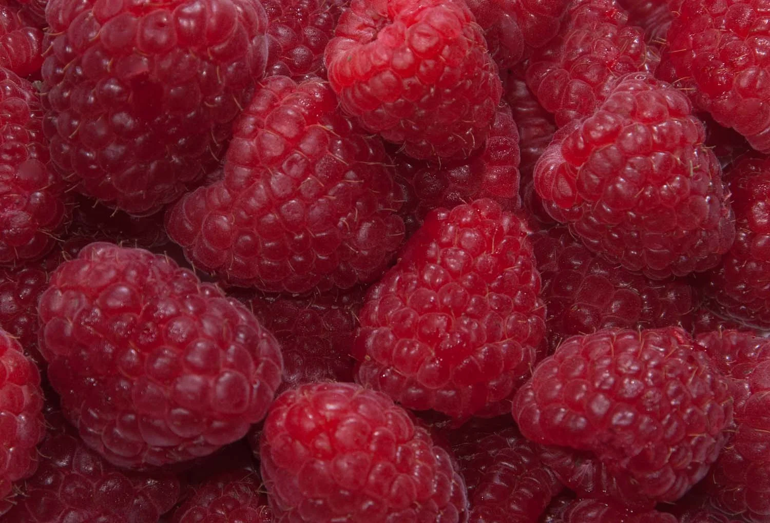 Raspberries