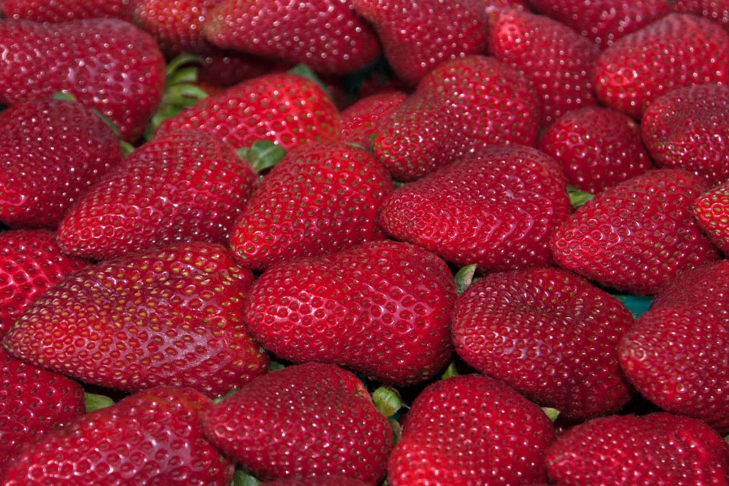 Strawberry Fields