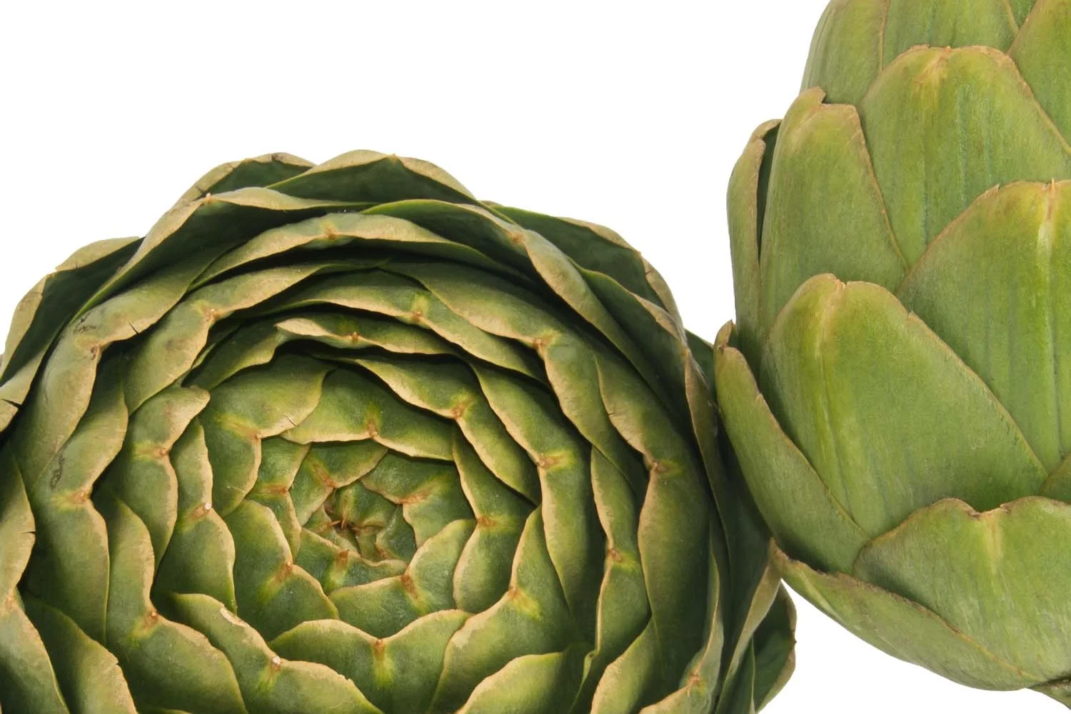 Artichokes