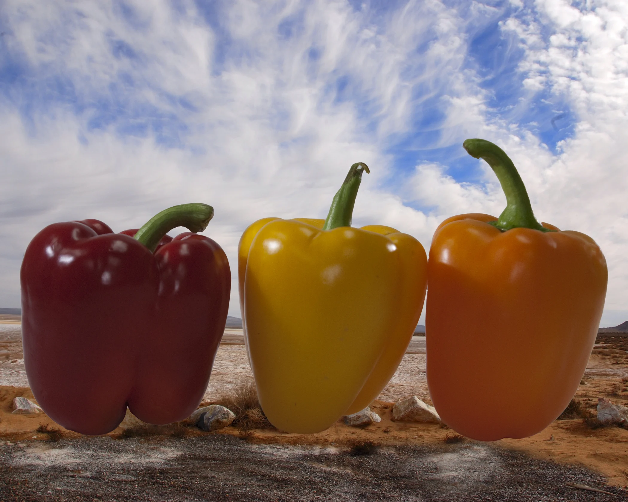 Peppers on the Go