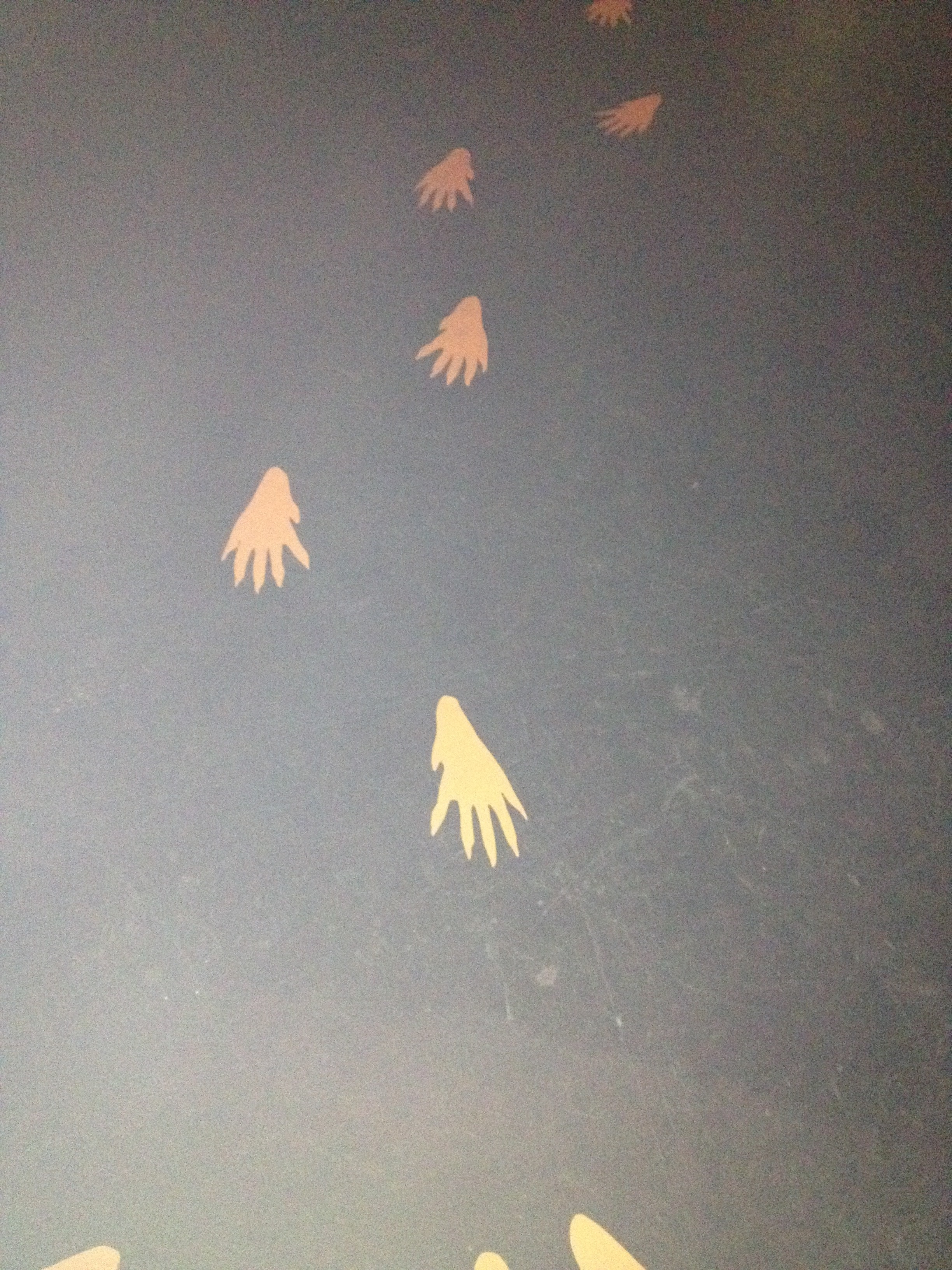 Follow the pawprints to your next location.
