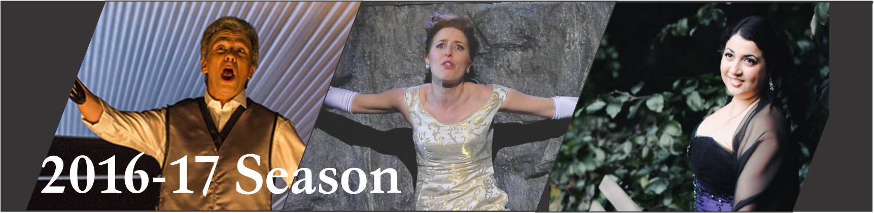 Opera Lafayette website banner with photos of past productions. Jean Paul-Fouchécourt in Menu: Plaisir (Photo by Bruno Amsellem); Kimy McLaren in Into the Woods at Paris' Thêatre du Châtelet (Photo by Francois Guillot); and, Sherezade Panthaki (Photo by David Fung). Courtesy of Opera Lafayette.