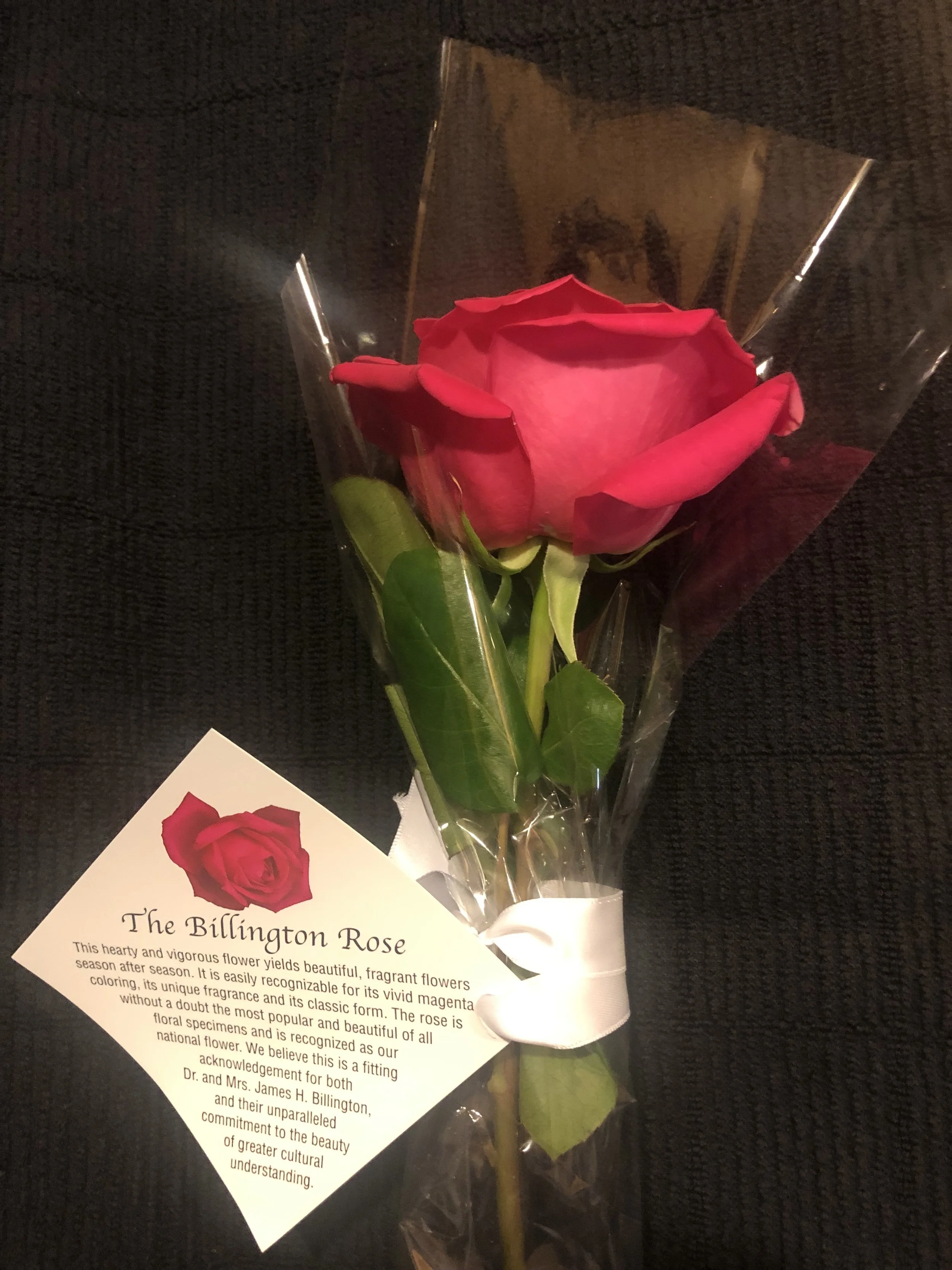 The Billington Rose I received as an audience member at the opening performance of WNO’s Eugene Onegin . Photo by author.