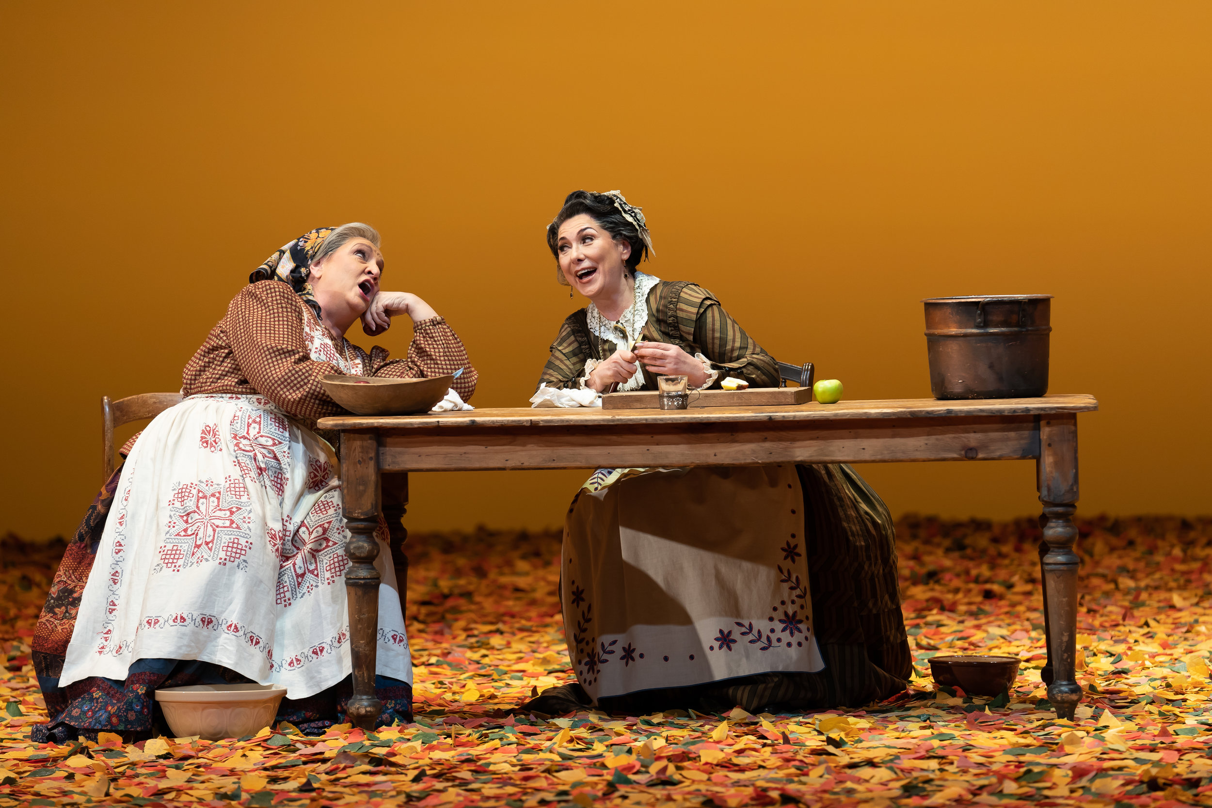 Filippyevna (Victoria Livengood) and Madame Larina (Elena Zaremba) share memories of their youth in WNO's production of Eugene Onegin_credit Scott Suchman.JPG