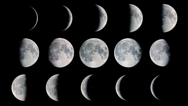 Moon Phases.jpg