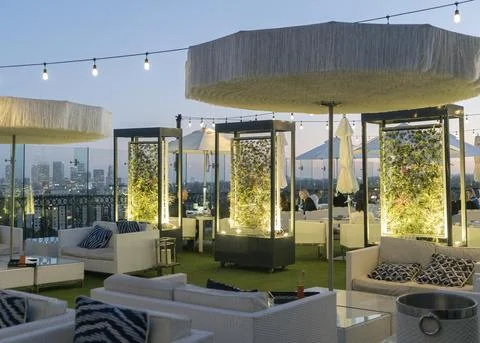 The London Hotel Airplant Displays.jpg