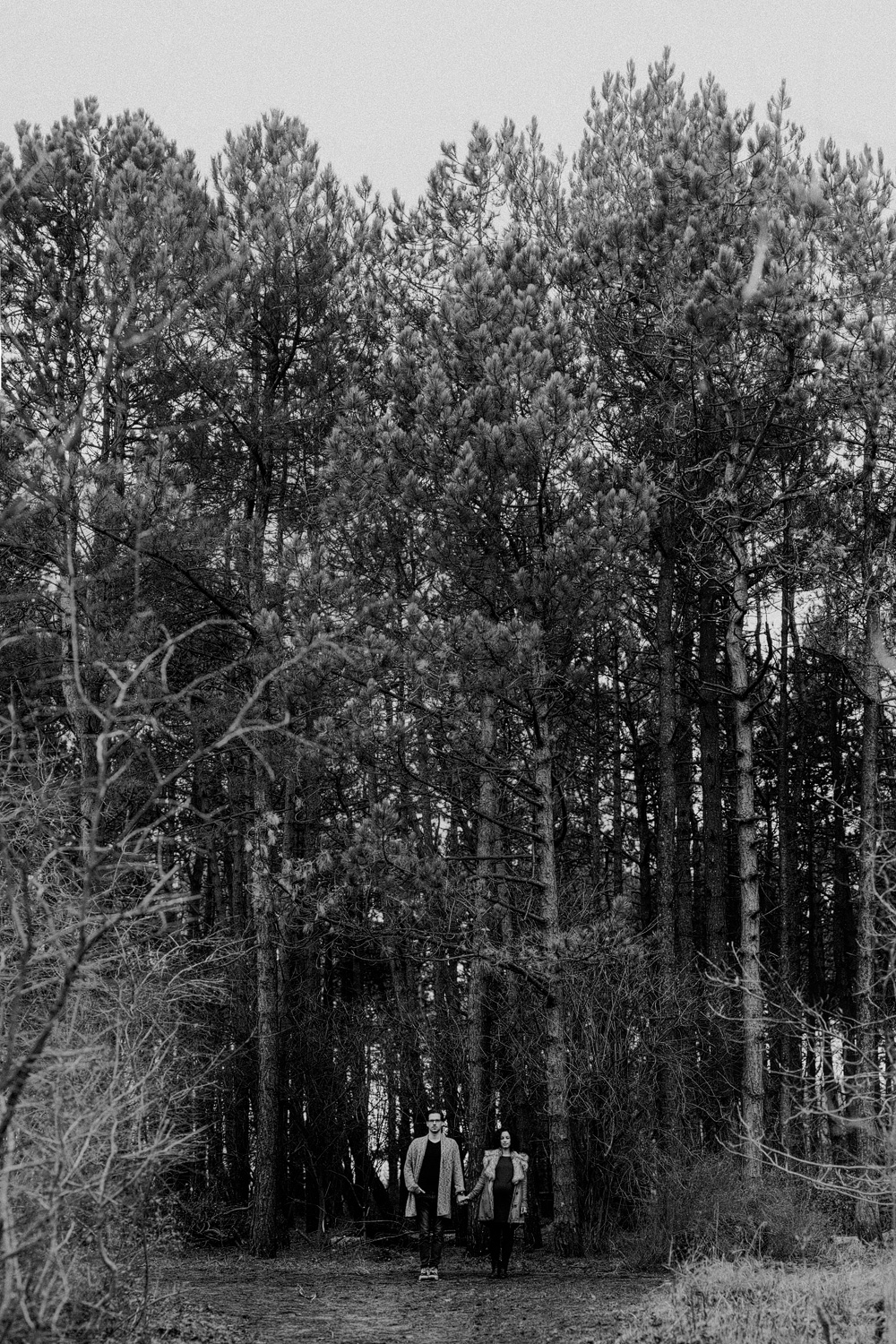 Couple in front of big trees in forrest