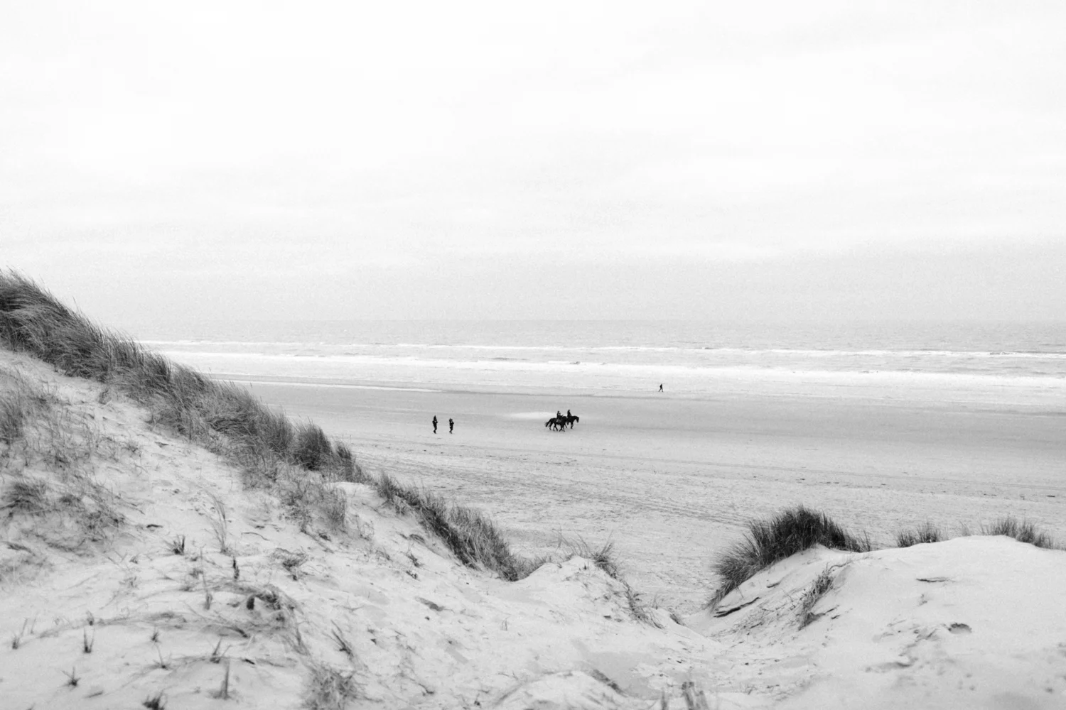 Dunes and beach of Bloemendaal
