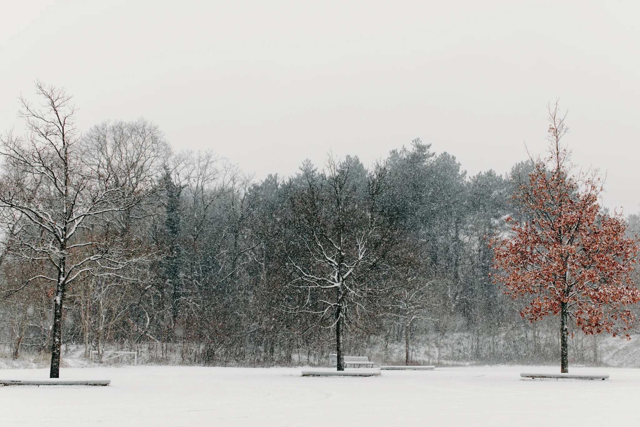 005-winter-sneeuw-oosterplas-bloemendaal.jpg