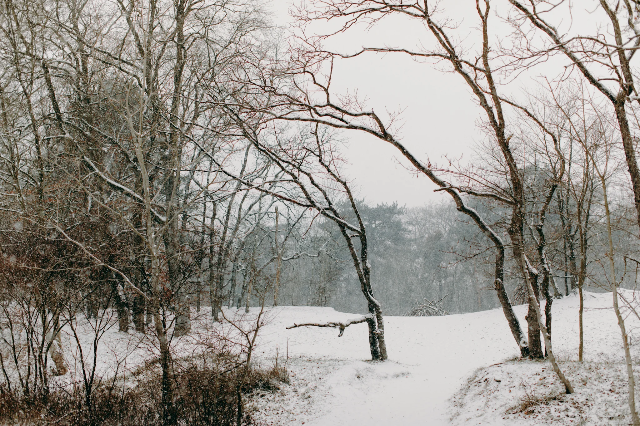 012-winter-sneeuw-oosterplas-bloemendaal.jpg