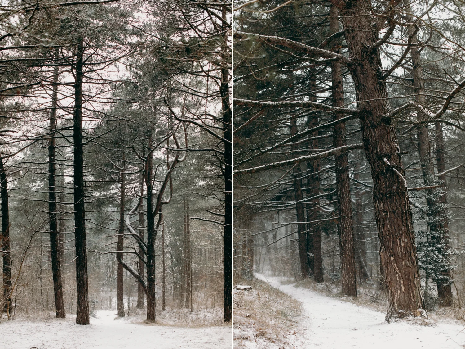 sjoerd-booij-photography-personal-winter-snow-oosterplas-bloemendaal_0006.jpg