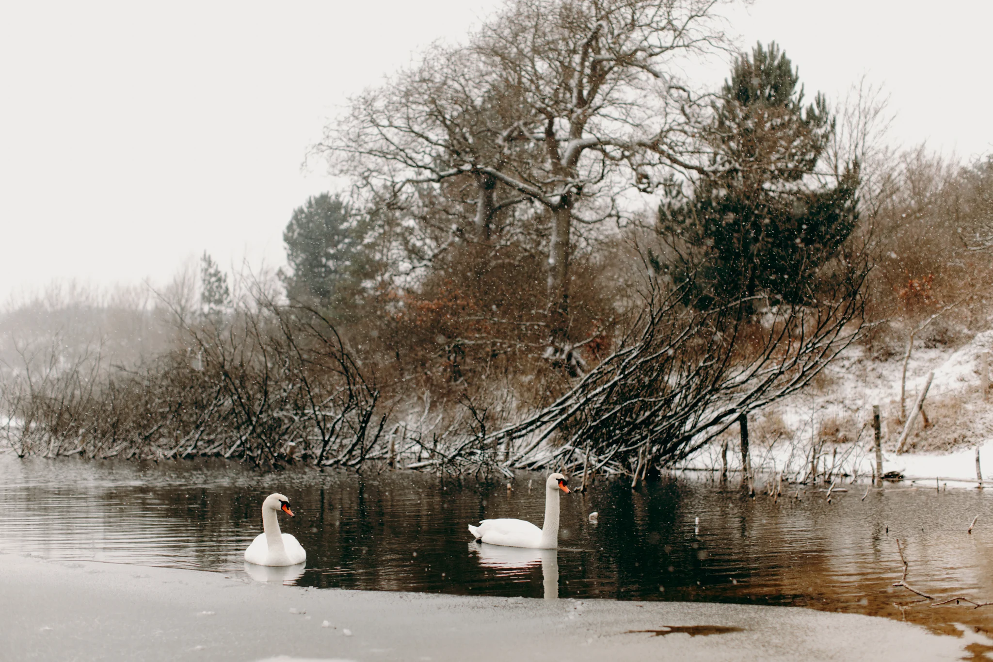 040-winter-sneeuw-oosterplas-bloemendaal.jpg
