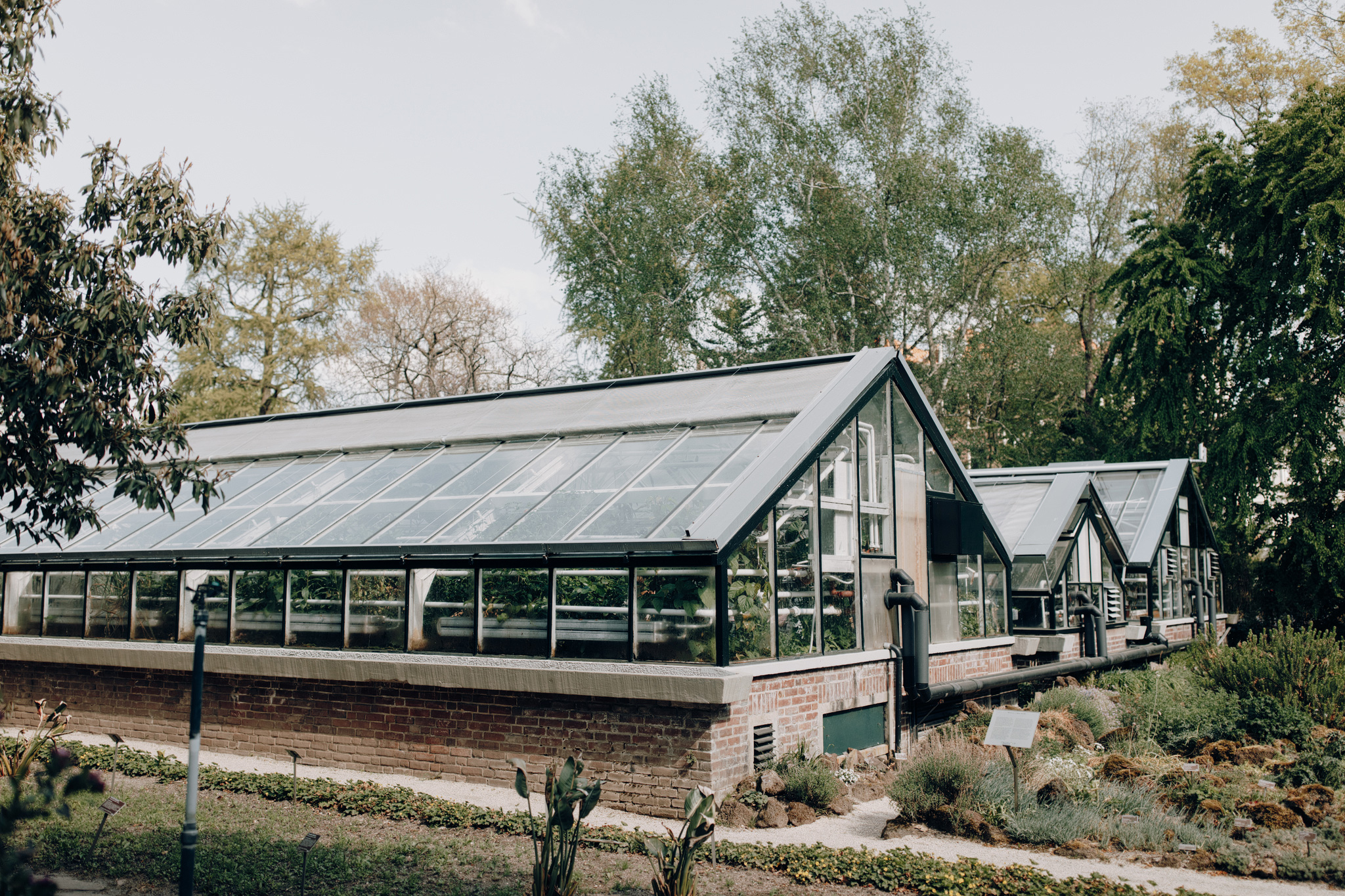 Hortus Botanicus Amsterdam