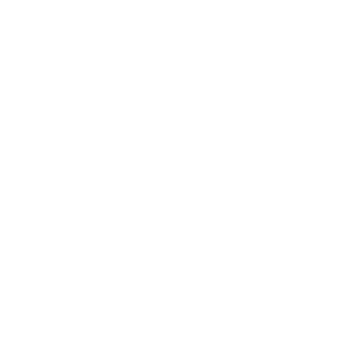 CONVERSE (Copy)