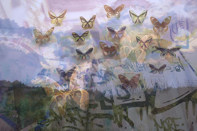One of Glynnis Reed’s pieces, “Night and Day,” archival pigment print, 2013.