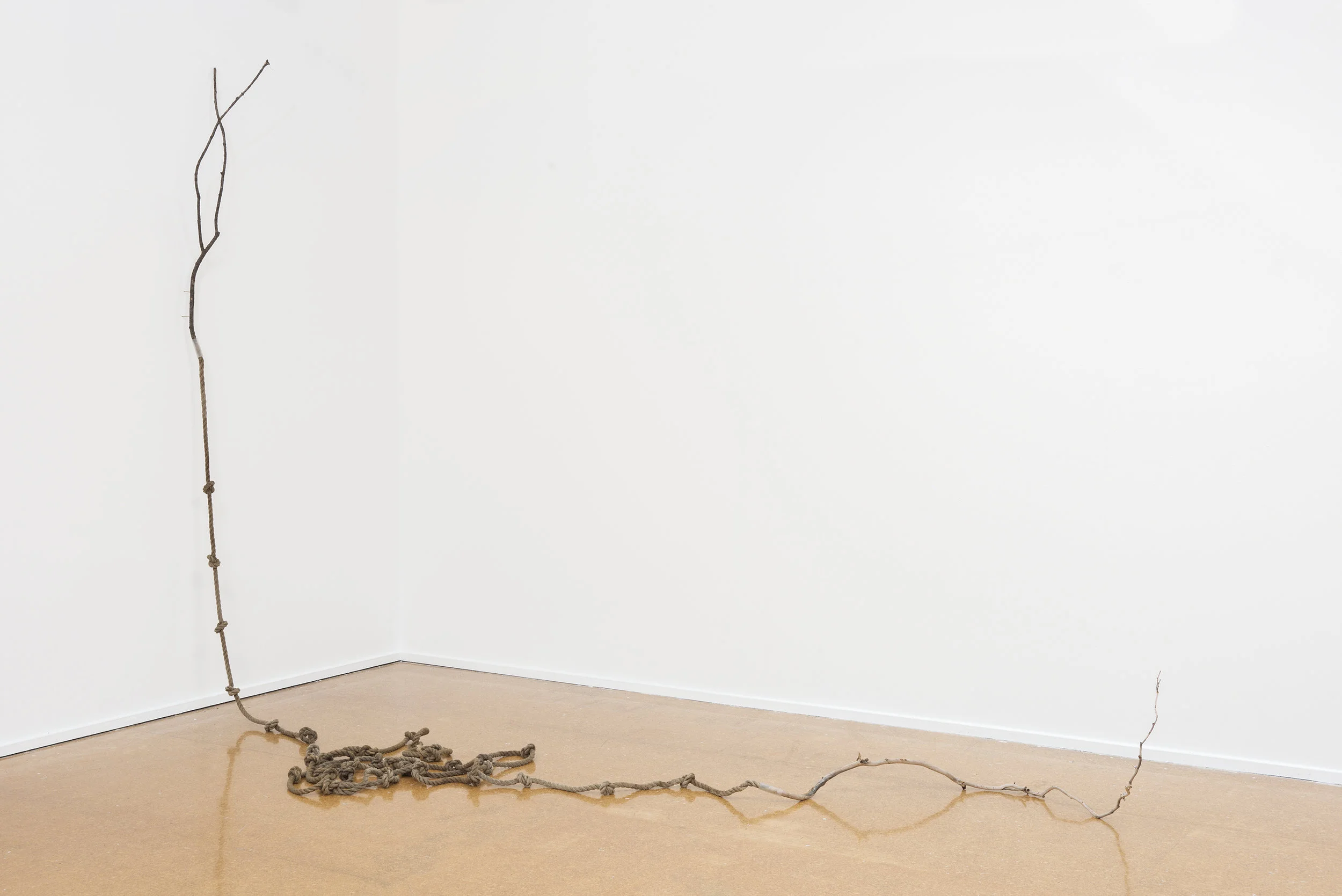Escape Rope