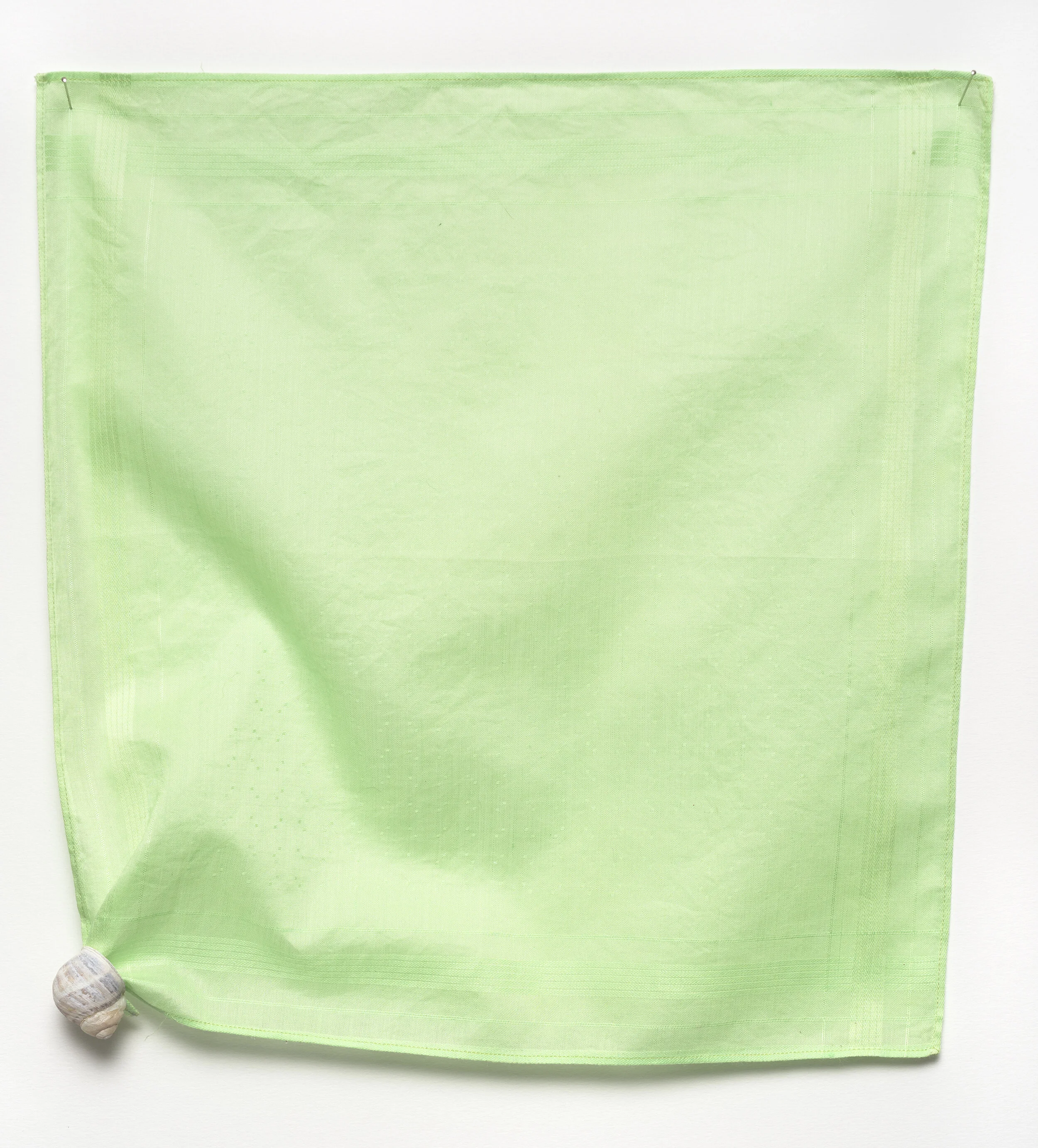 Snail Hanky, 2020. Photograph: Brenton McGeachie