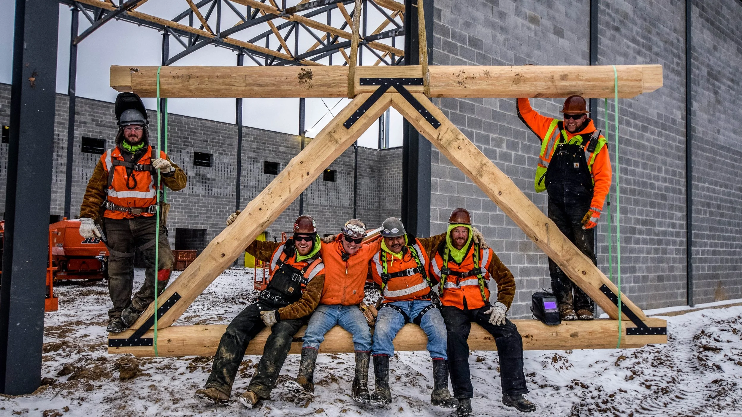 WholeTrees - Brand Guidelines