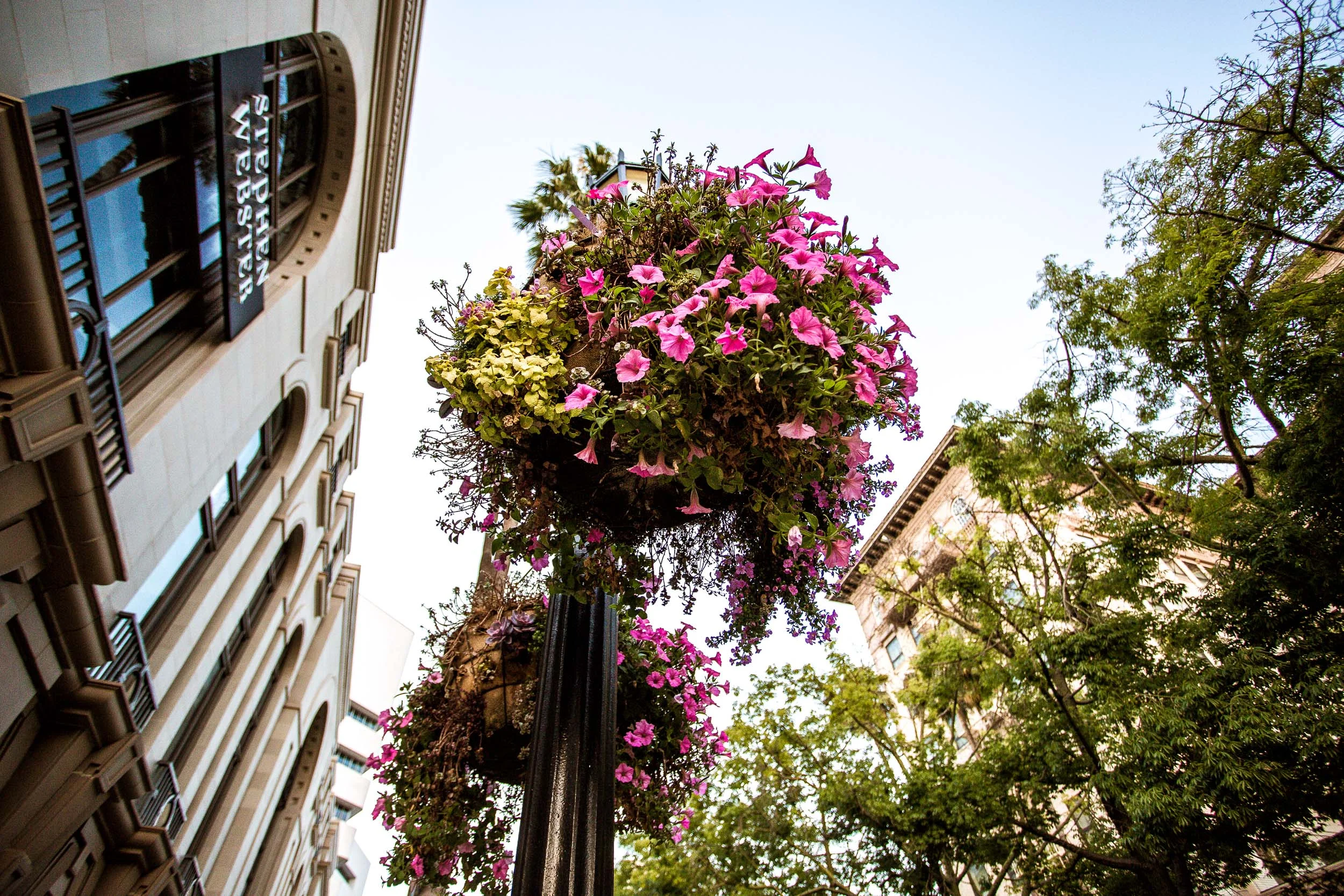 BeverlyHills_LookingUp-93.jpg