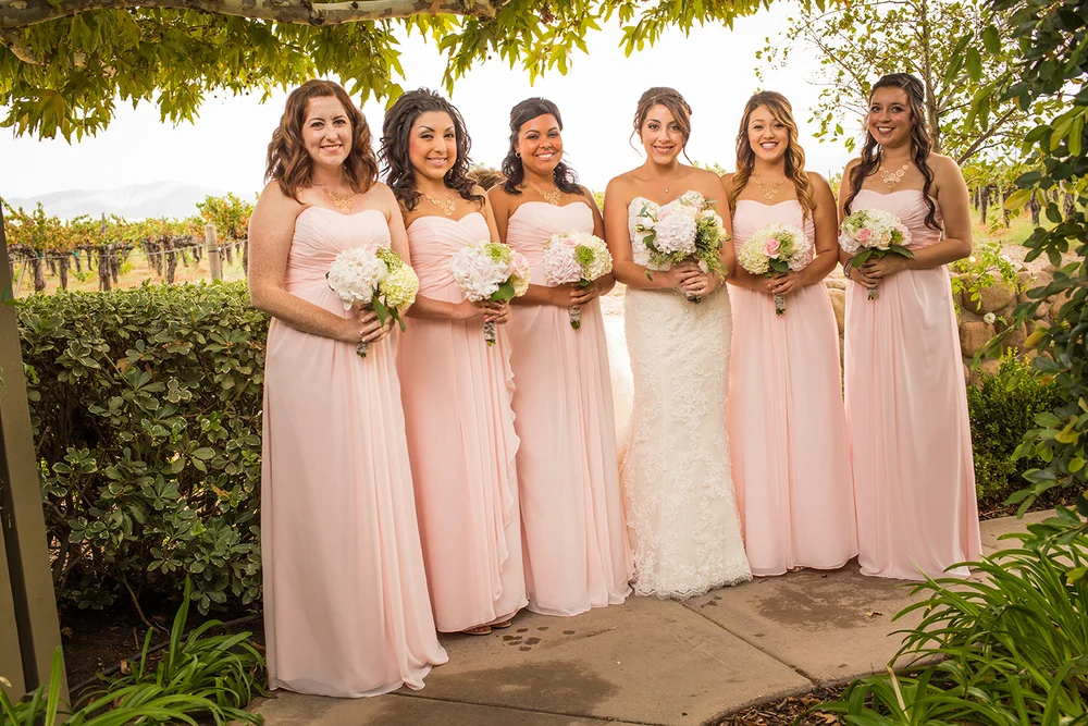 Bride and her bridesmaids