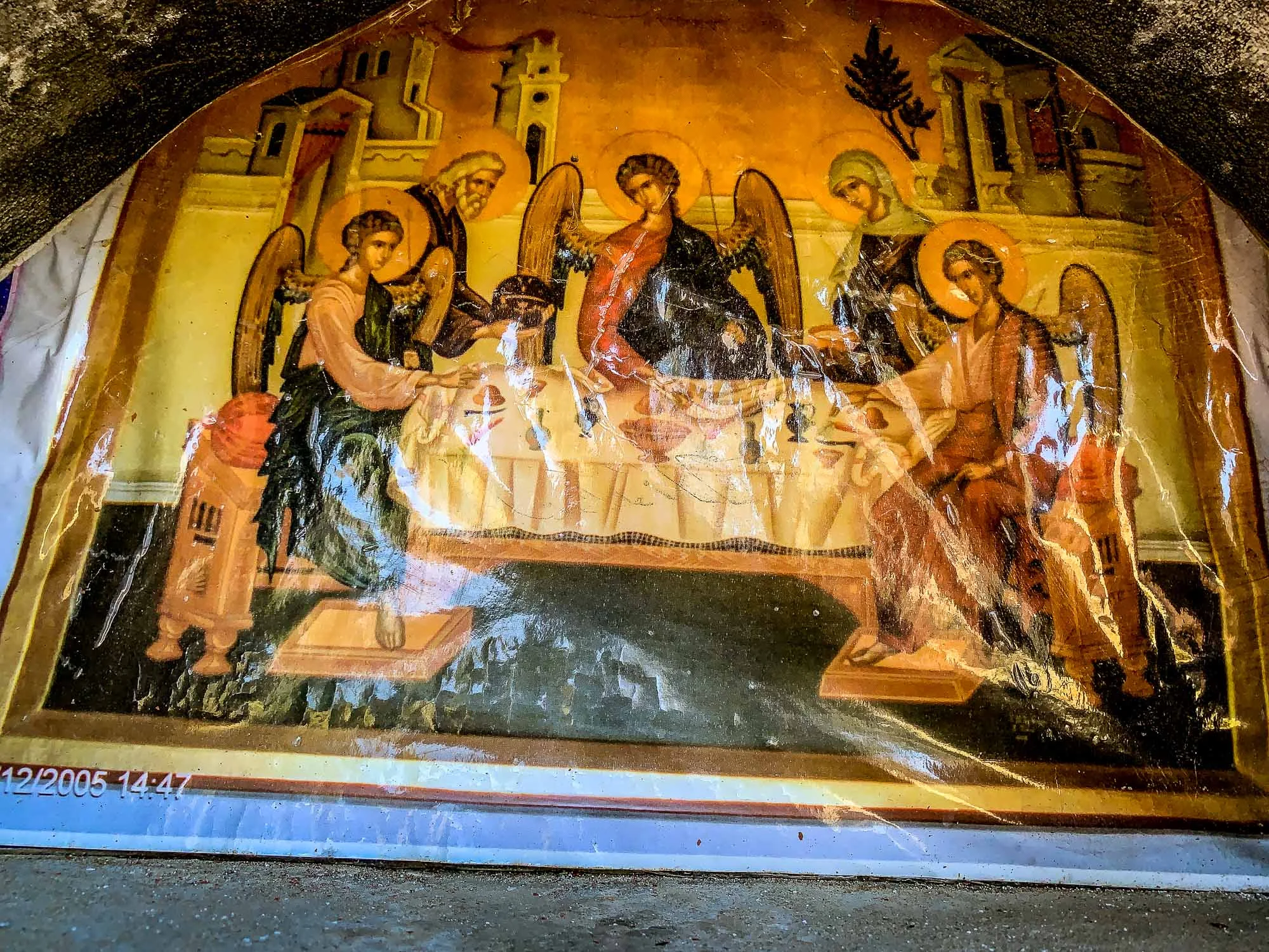 IMG_2310.jpg