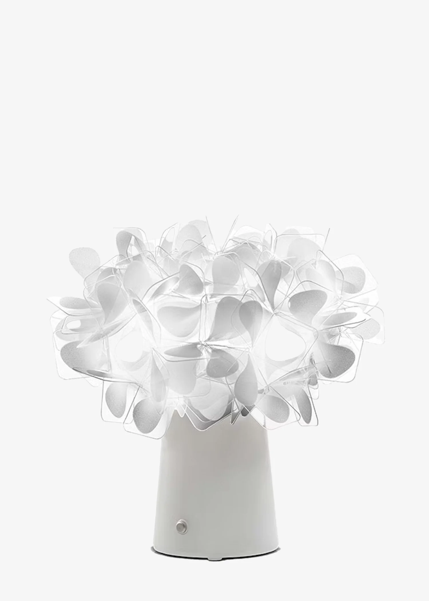 Bouquet | White