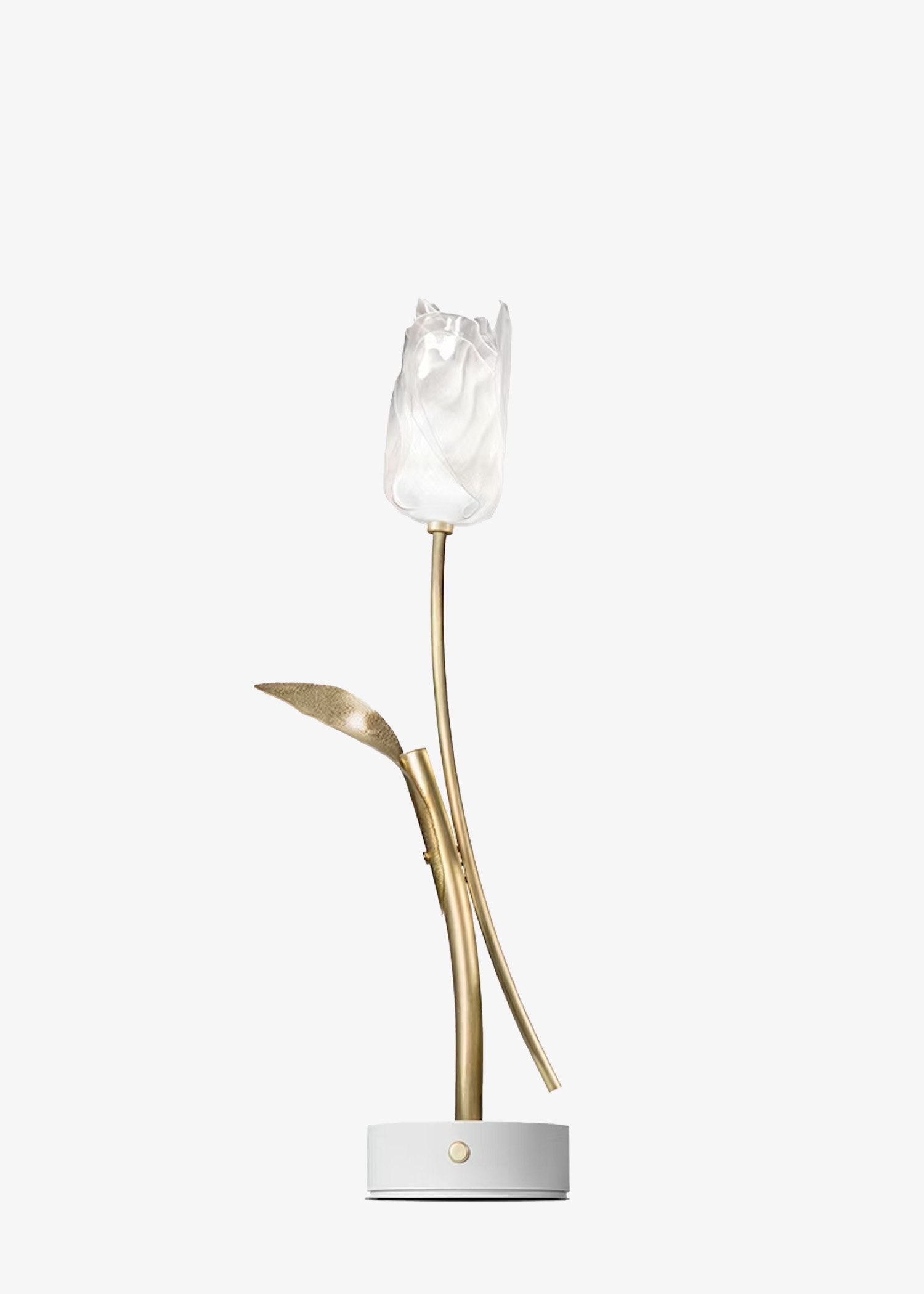Tulip | White + Gold