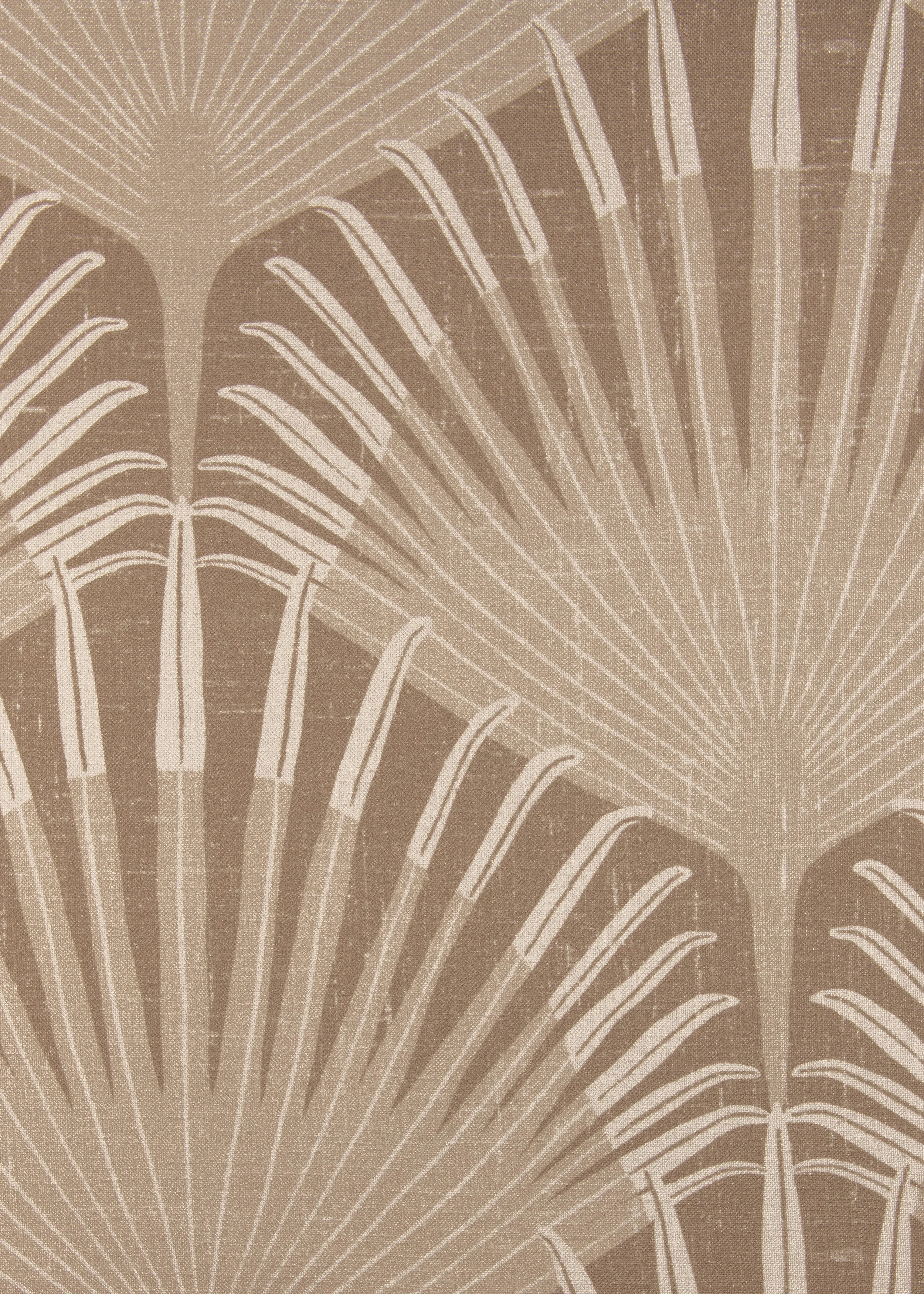 Sullivan Palm Almond