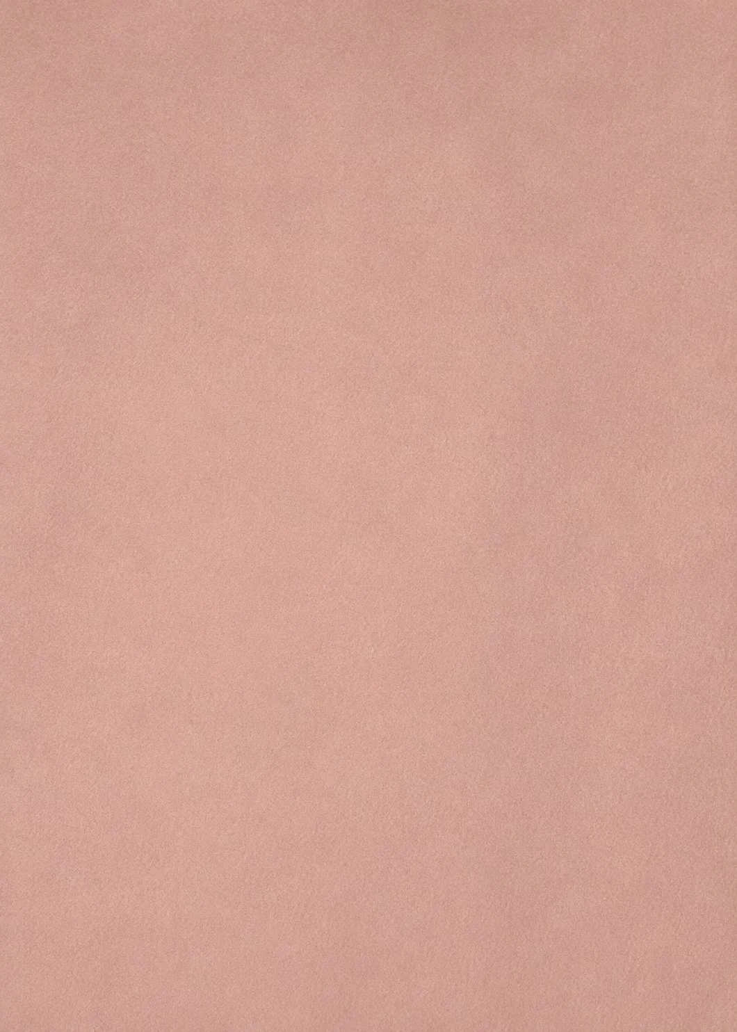 Light Pink Casablanca1.jpg