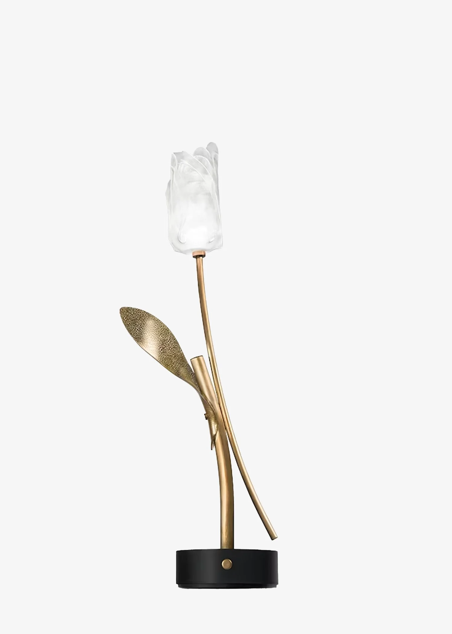 Tulip | Black + Gold