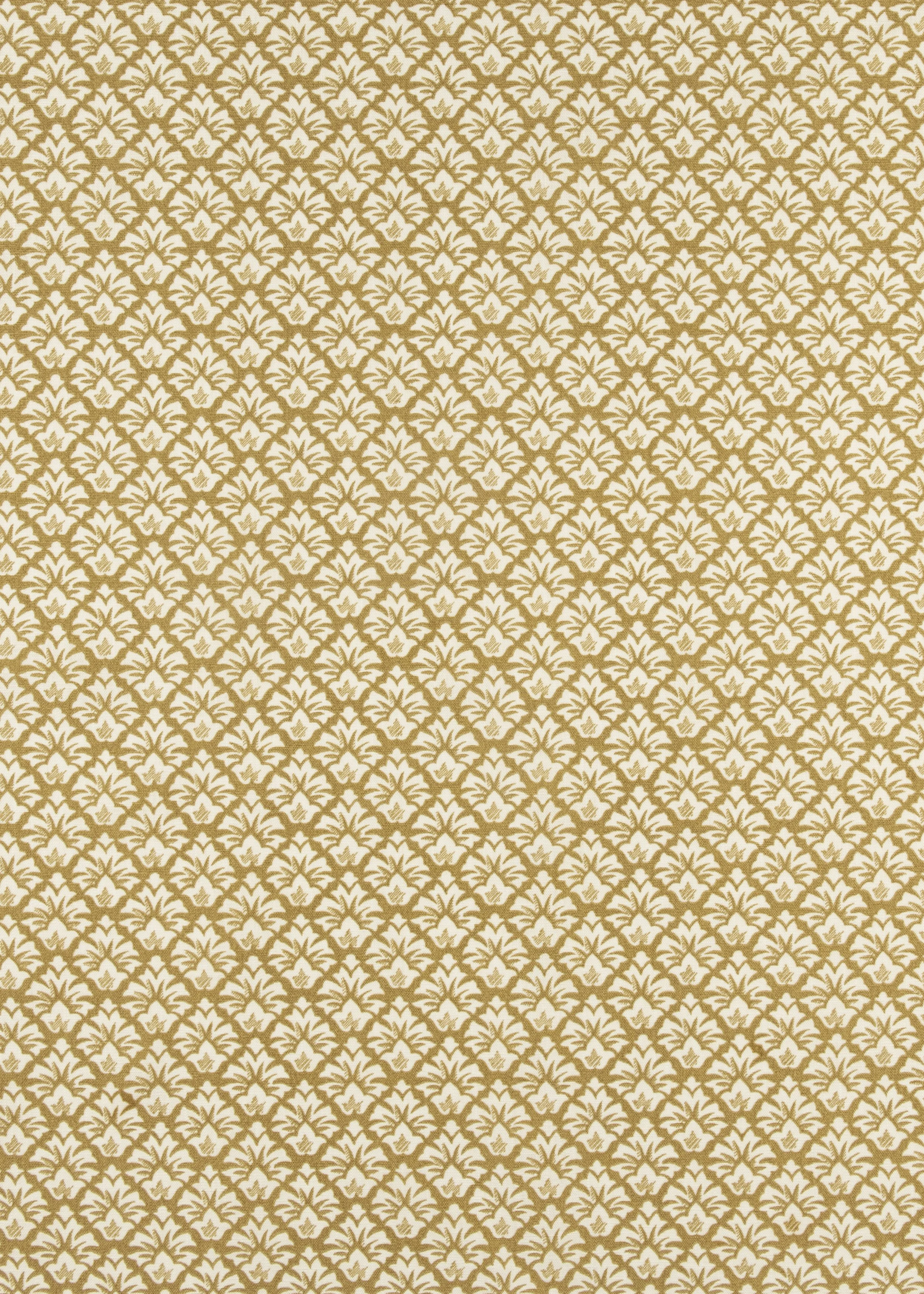 Sawyer Gold.jpg
