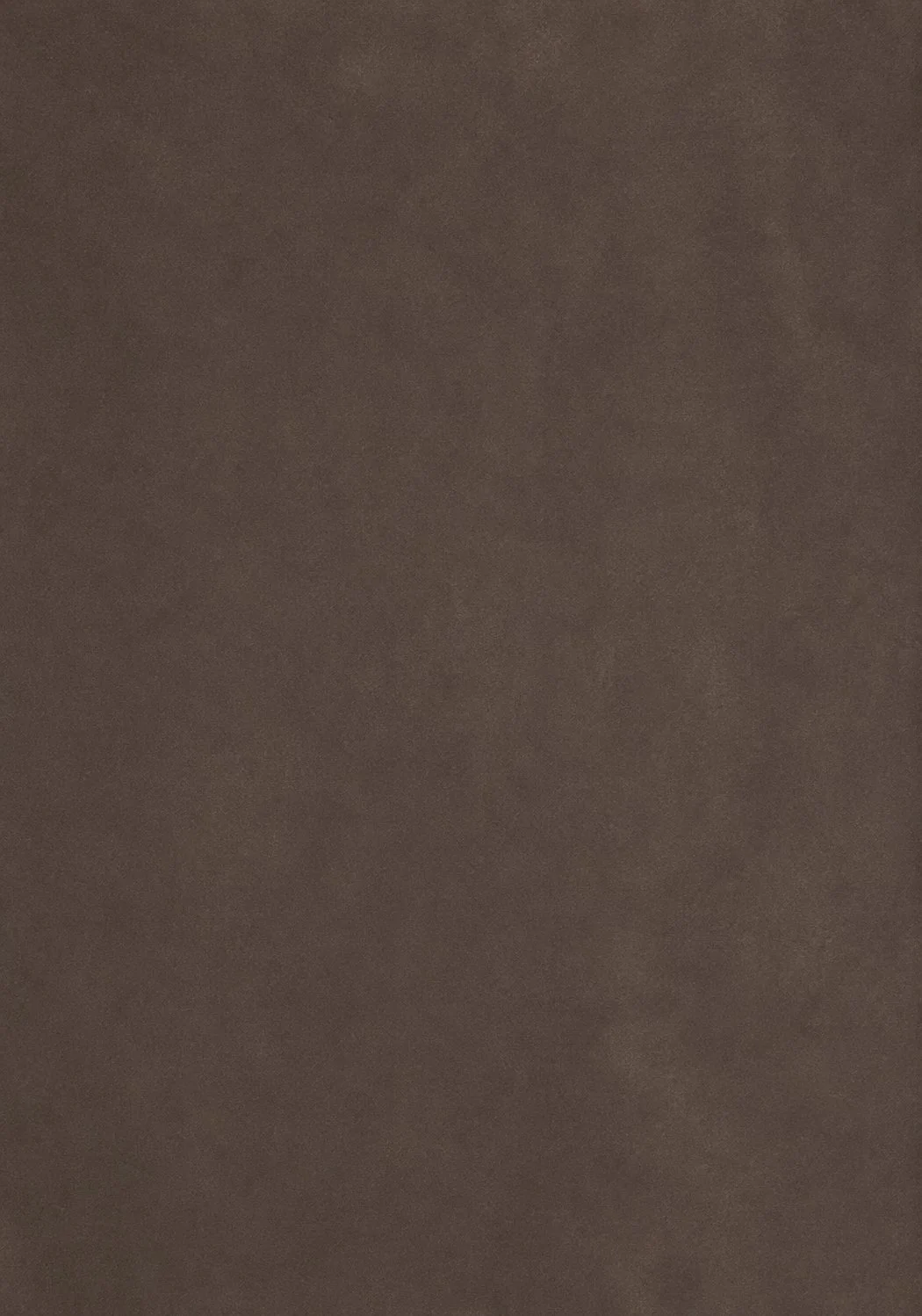 Taupe Casablanca